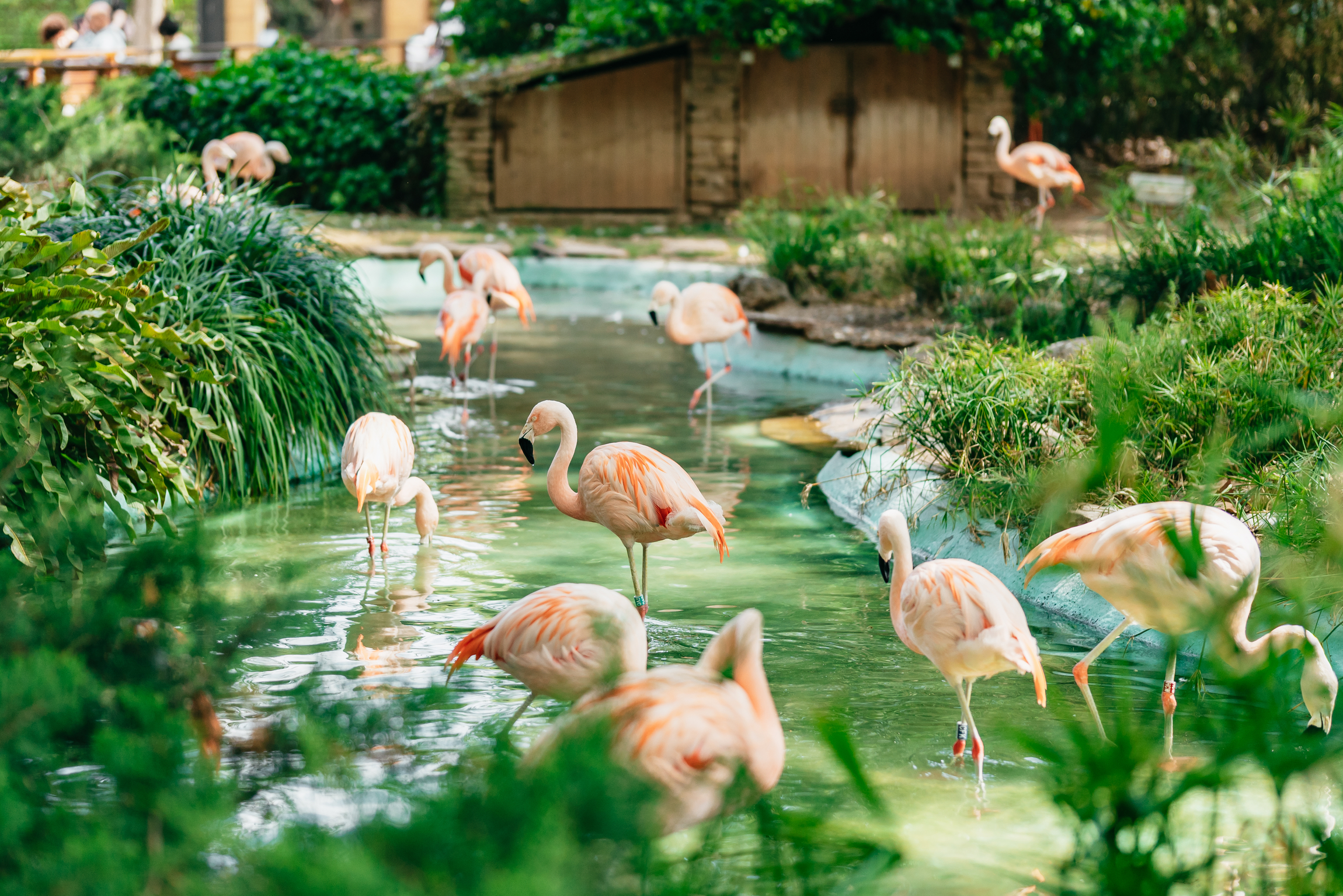 Barcelona: 1-Day Ticket to Barcelona Zoo – Barcelona, Spain