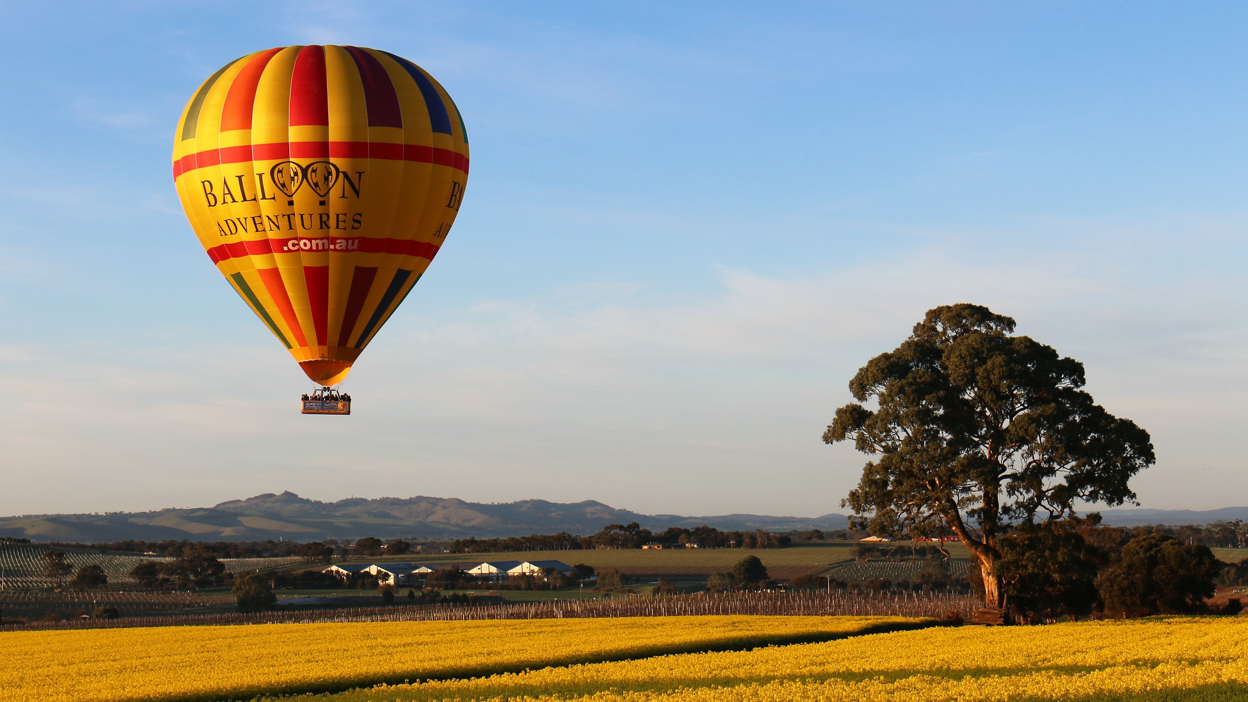 Barossa Valley: Hot Air Balloon Flight – Lobethal, Australia