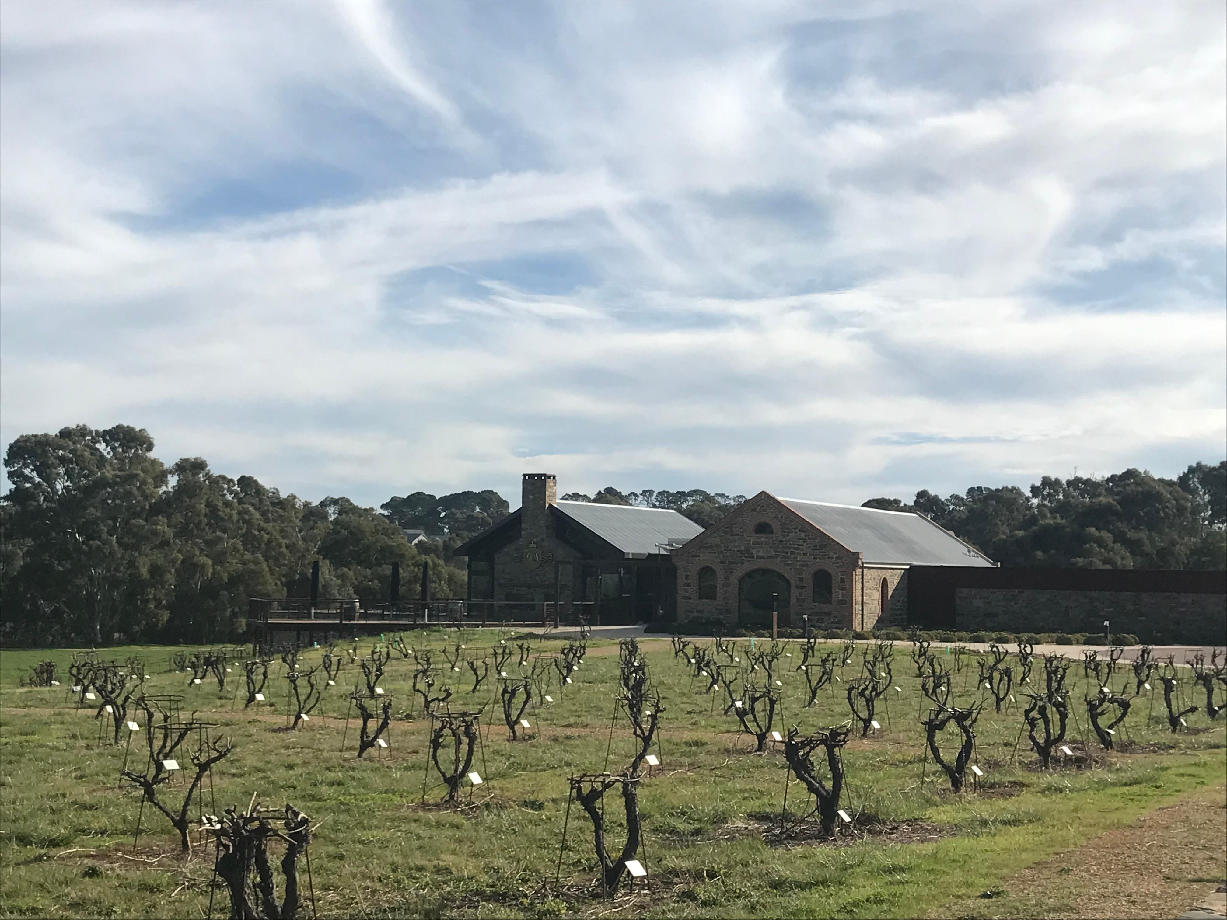 Barossa Valley: Small Group Wine Tour (Includes Lunch) – Adelaide, Australia