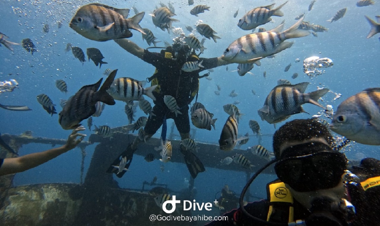 Bayahibe: Scuba Diving Initiation by Go Dive Bayahibe – Bayahibe, Dominican Republic