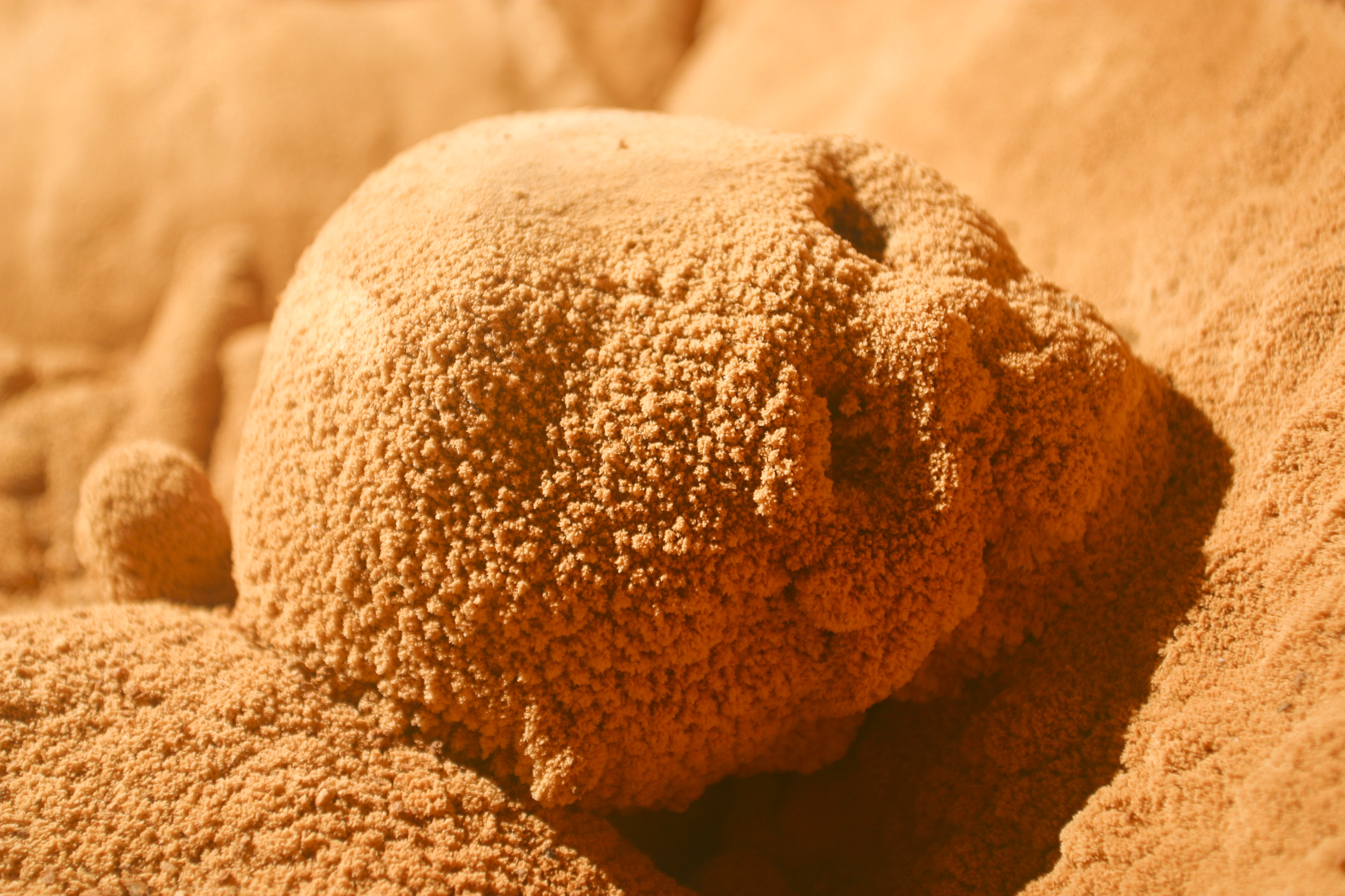 Belize City Actun Tunichil Muknal Cave (ATM )Full Day Tour – Belize City, Belize