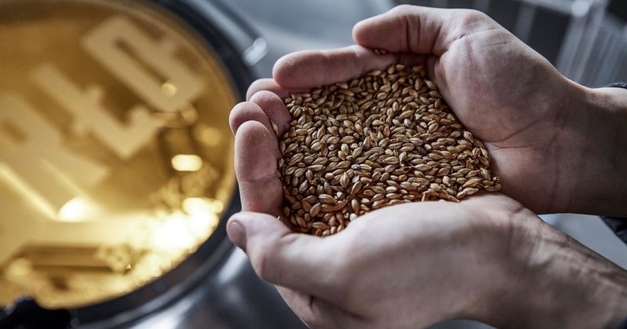 Berlin: BRLO BRWHOUSE Tour and Craft Beer Tasting – Berlin, Germany