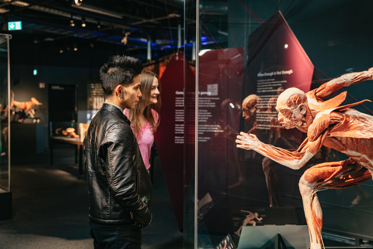 Berlin: Tickets for the BODY WORLDS Museum in Berlin – Berlin, Germany