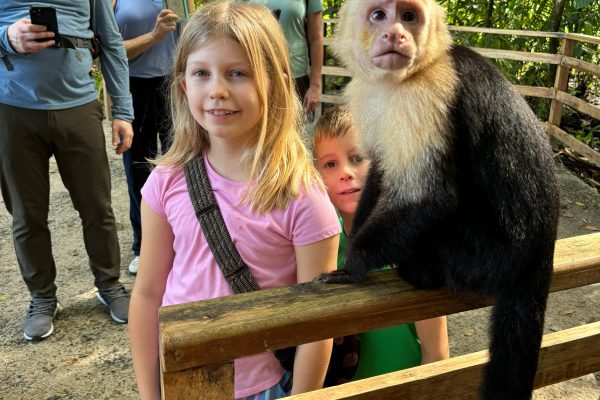 Best Manuel Antonio National Park hike with an expert – Manuel Antonio National Park, Costa Rica