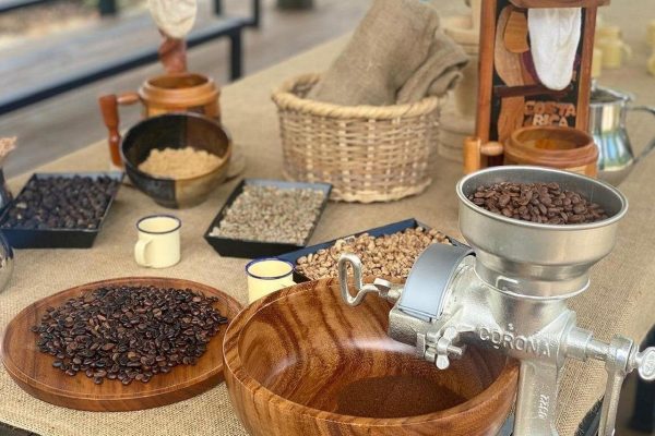 Bijagua: Cacao & Pineapple Farm Tour with Tastings – Tenorio Volcano National Park, Costa Rica