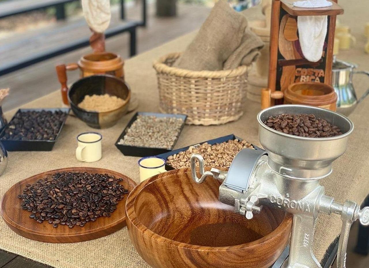 Bijagua: Cacao & Pineapple Farm Tour with Tastings – Tenorio Volcano National Park, Costa Rica