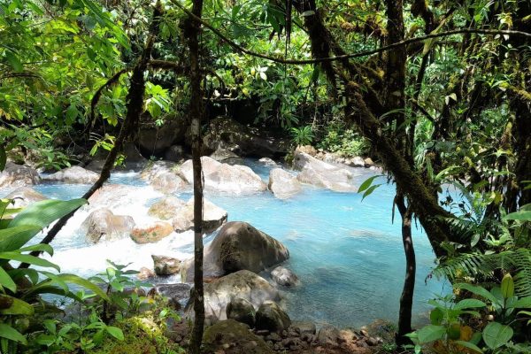 Bijagua: Rainforest & Blue River Swim from Guanacaste Hotels – Río Celeste, Costa Rica