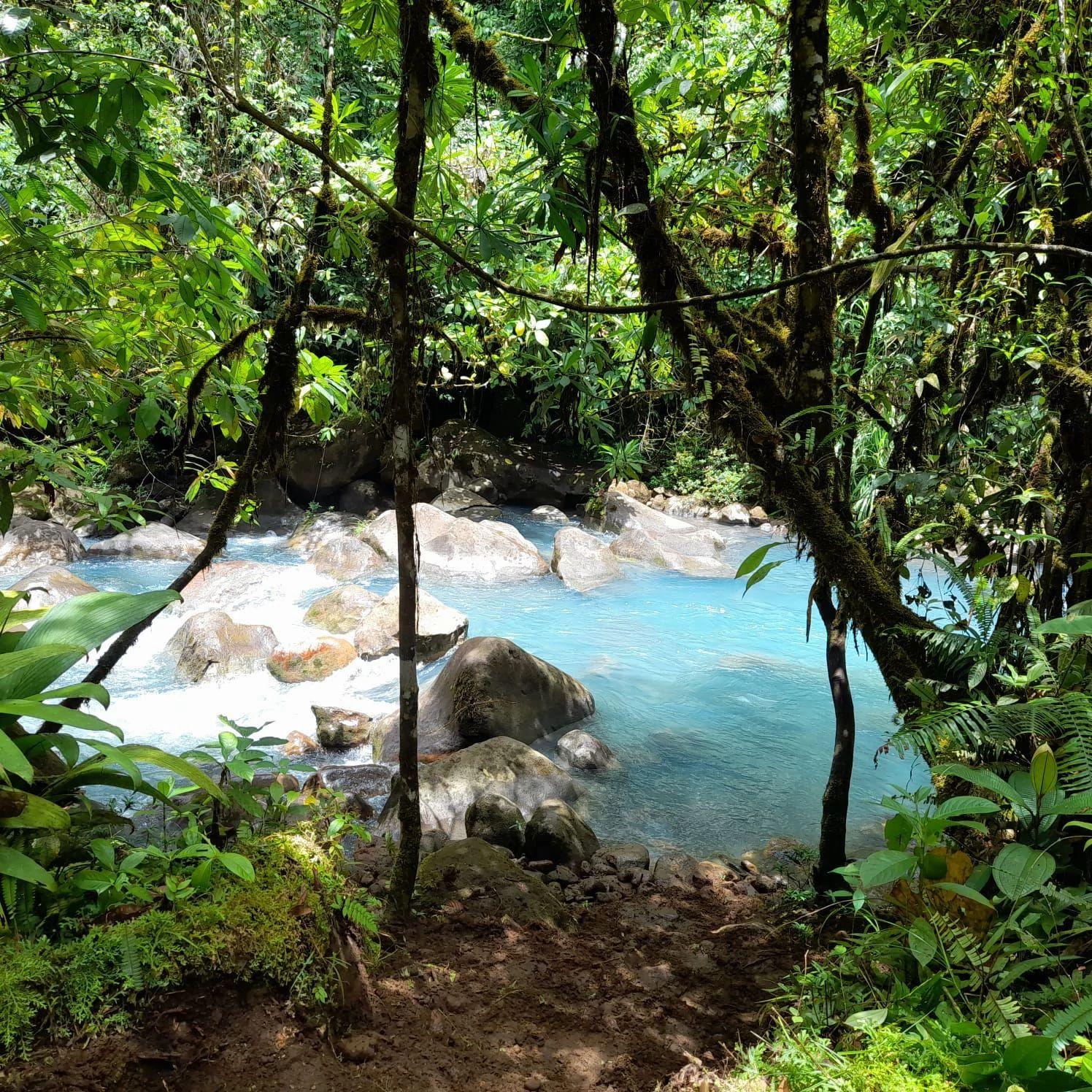 Bijagua: Rainforest & Blue River Swim from Guanacaste Hotels – Río Celeste, Costa Rica