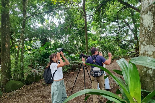 Bijagua de Upala: Rainforest, sloths, birds, and tons of fun – Bijagua de Upala, Costa Rica