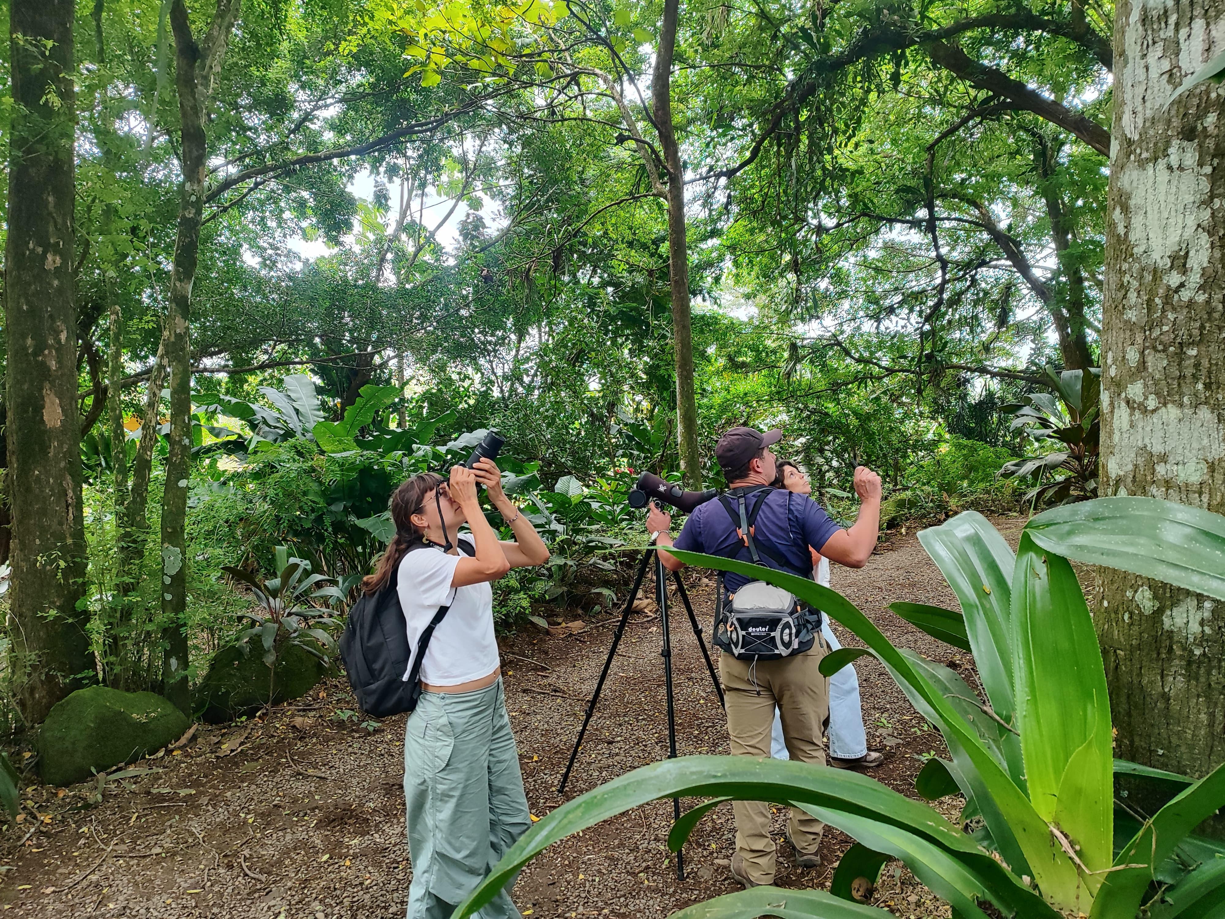 Bijagua de Upala: Rainforest, sloths, birds, and tons of fun – Bijagua de Upala, Costa Rica