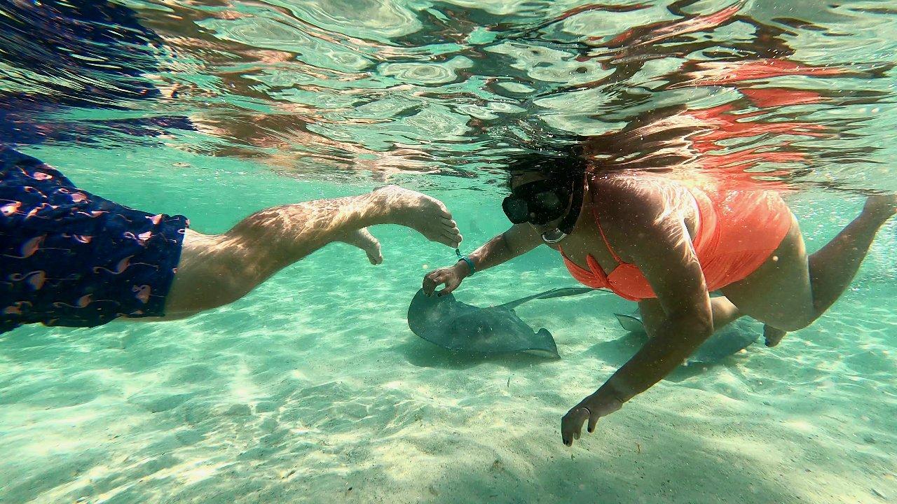 Bimini: 4-Stop Snorkeling Adventure – Bimini, Bahamas