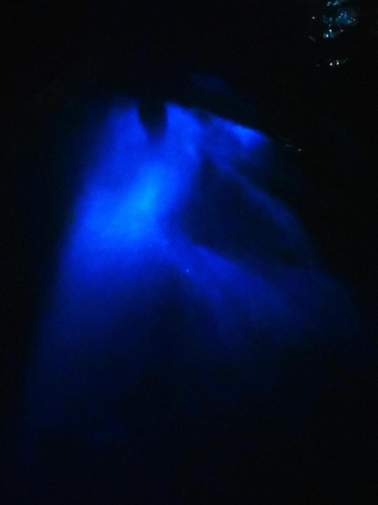 Bioluminescence Night Snorkeling Tour From Pochote Beach – Santa Teresa, Costa Rica