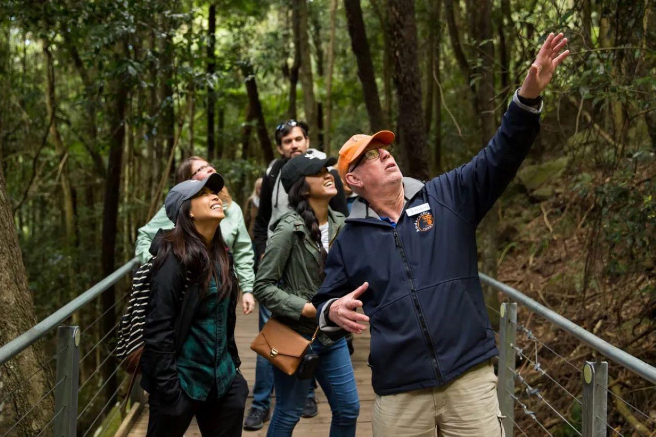 Blue Mountain Small Group Scenic World, Wildlife, Waterfall – Katoomba, Australia