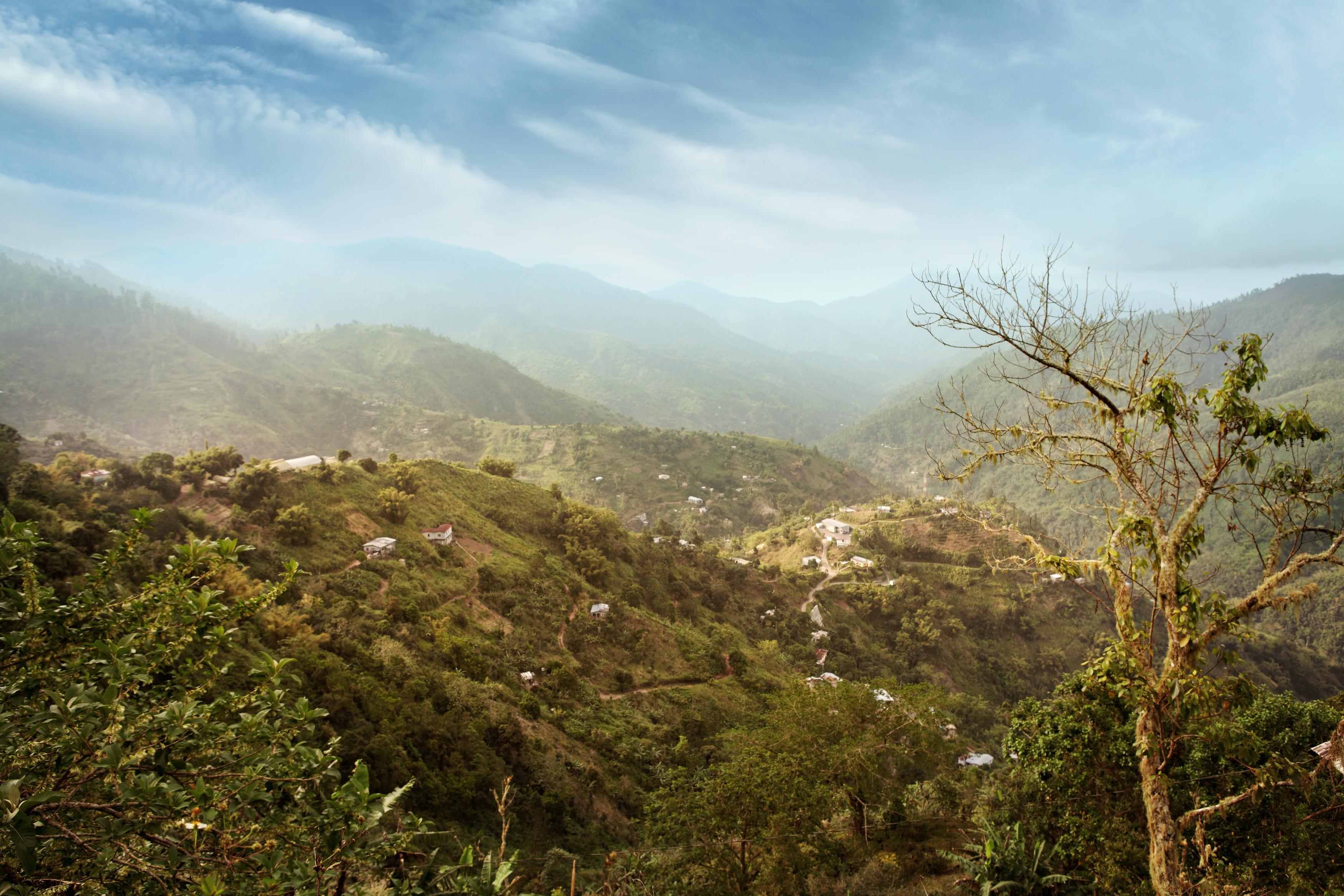 Blue Mountain Tour: A Half-Day Escape from Kingston – Holywell Park Jamaica, Jamaica