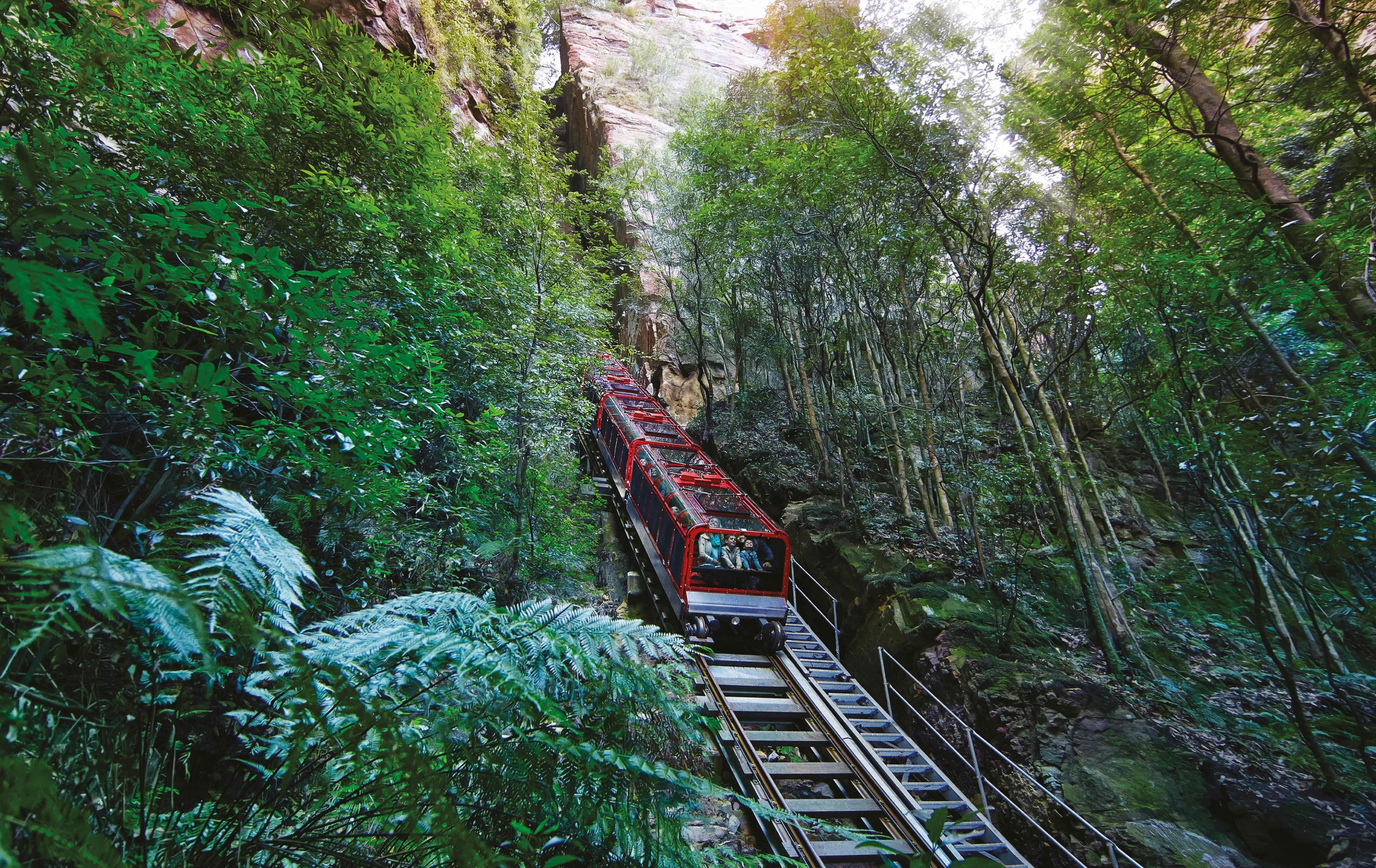 Blue Mountains Adventure: Scenic World, Zoo & Koala Photo – Sydney, Australia