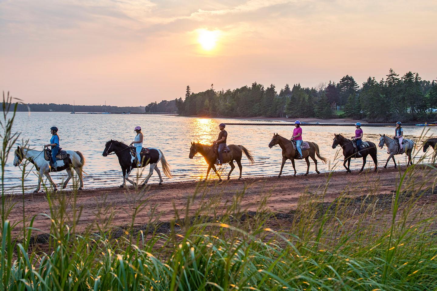 Brudenell: Family-Friendly Horse Ride goes on the Beach – Georgetown, Canada