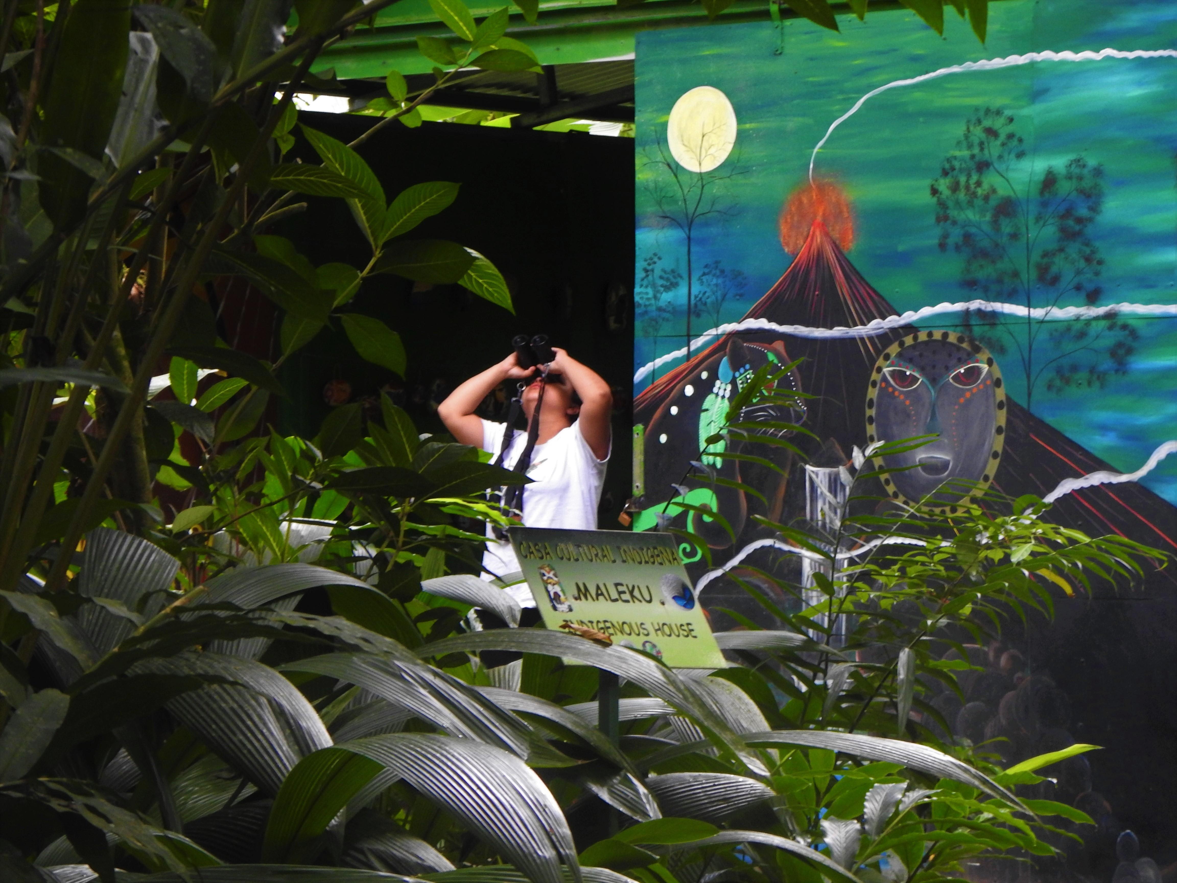 Butterflies and Birds-Entrance Ecocentro Danaus Trail 8-4PM – La Fortuna, Costa Rica