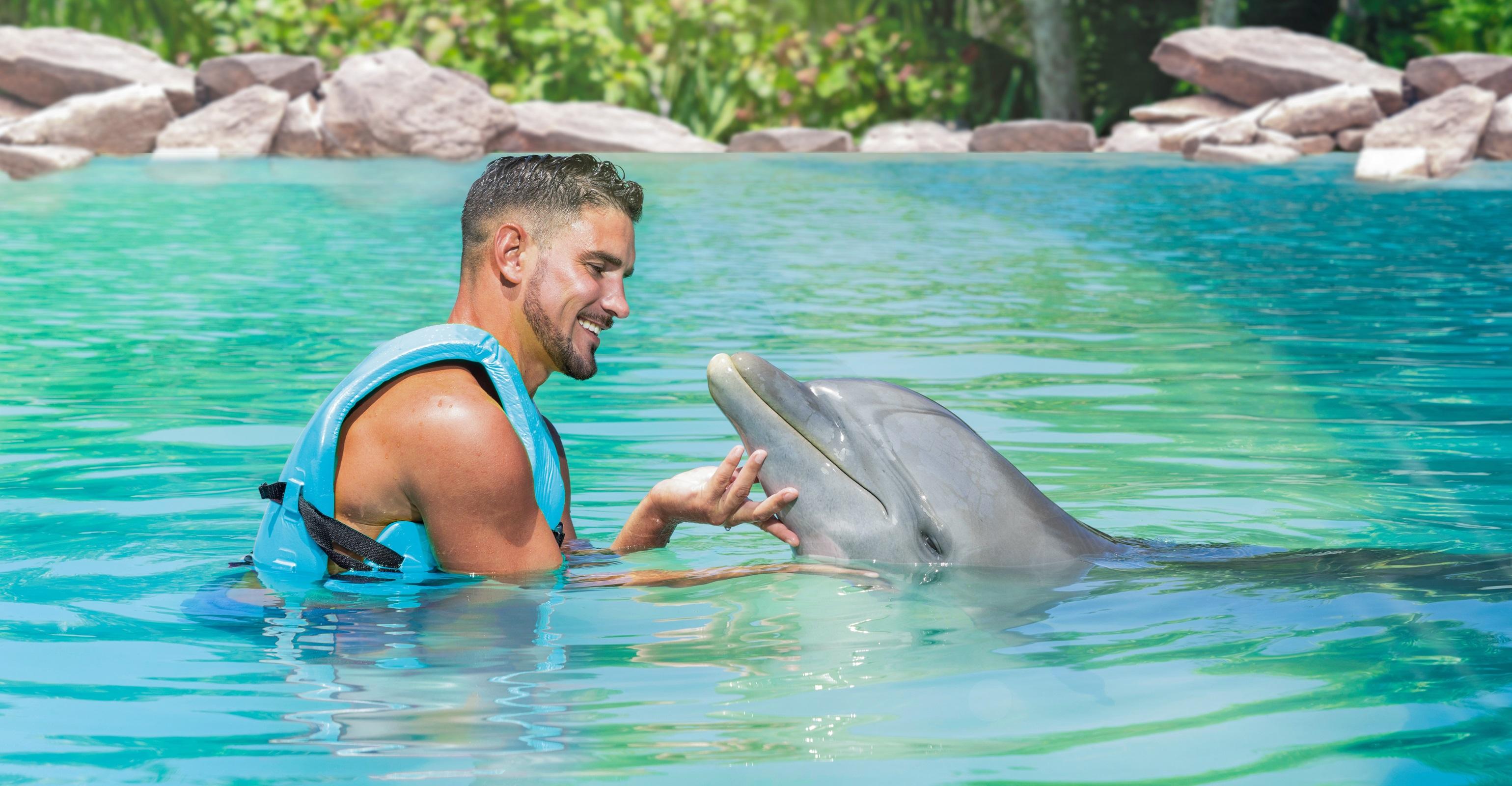 CANCUN: Dolphin Royal Swim with buffet and soft drinks – Cancun, Mexico