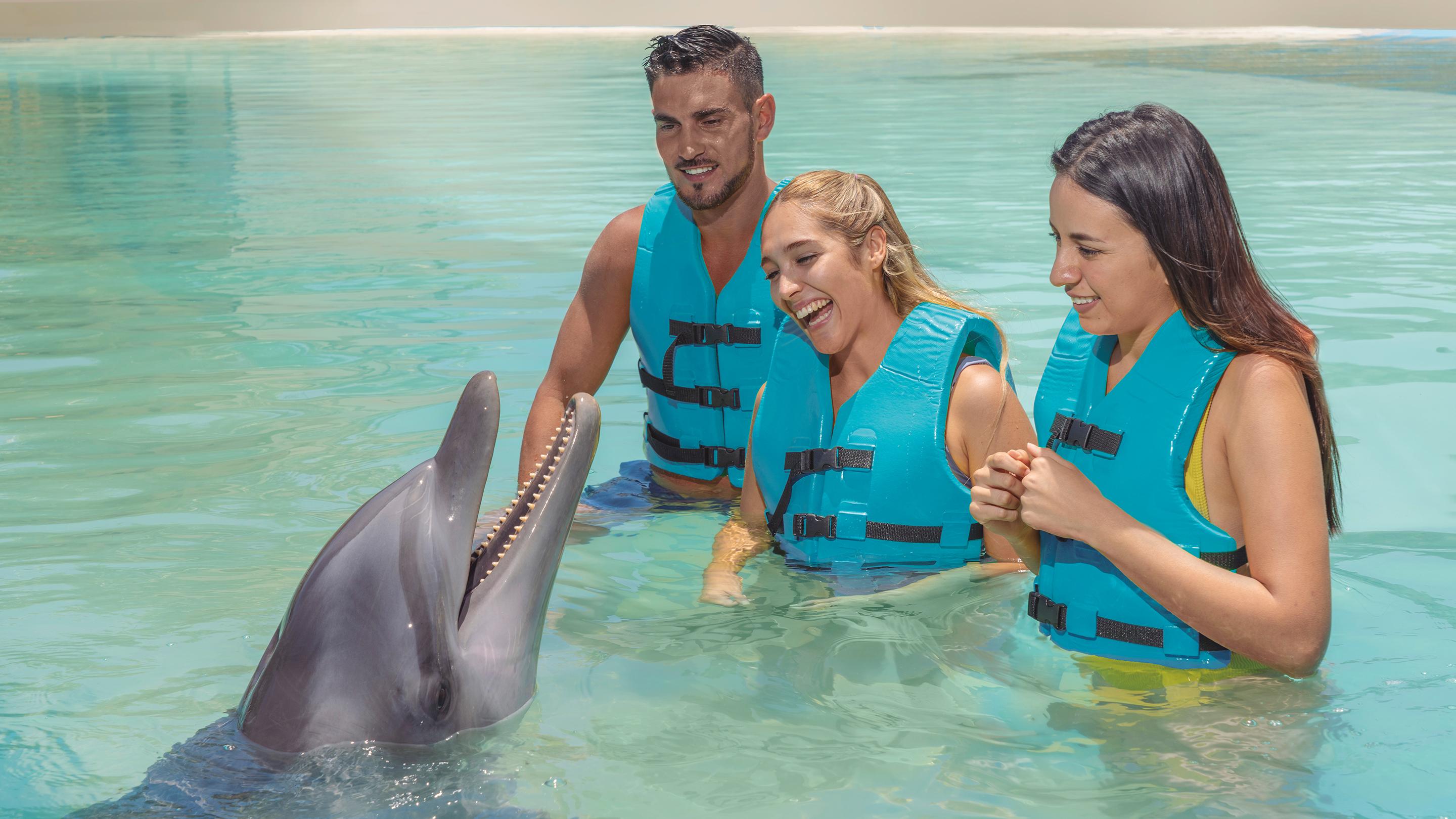 CANCUN: Dolphin Swim Adventure with buffet and soft drinks – Cancun, Mexico