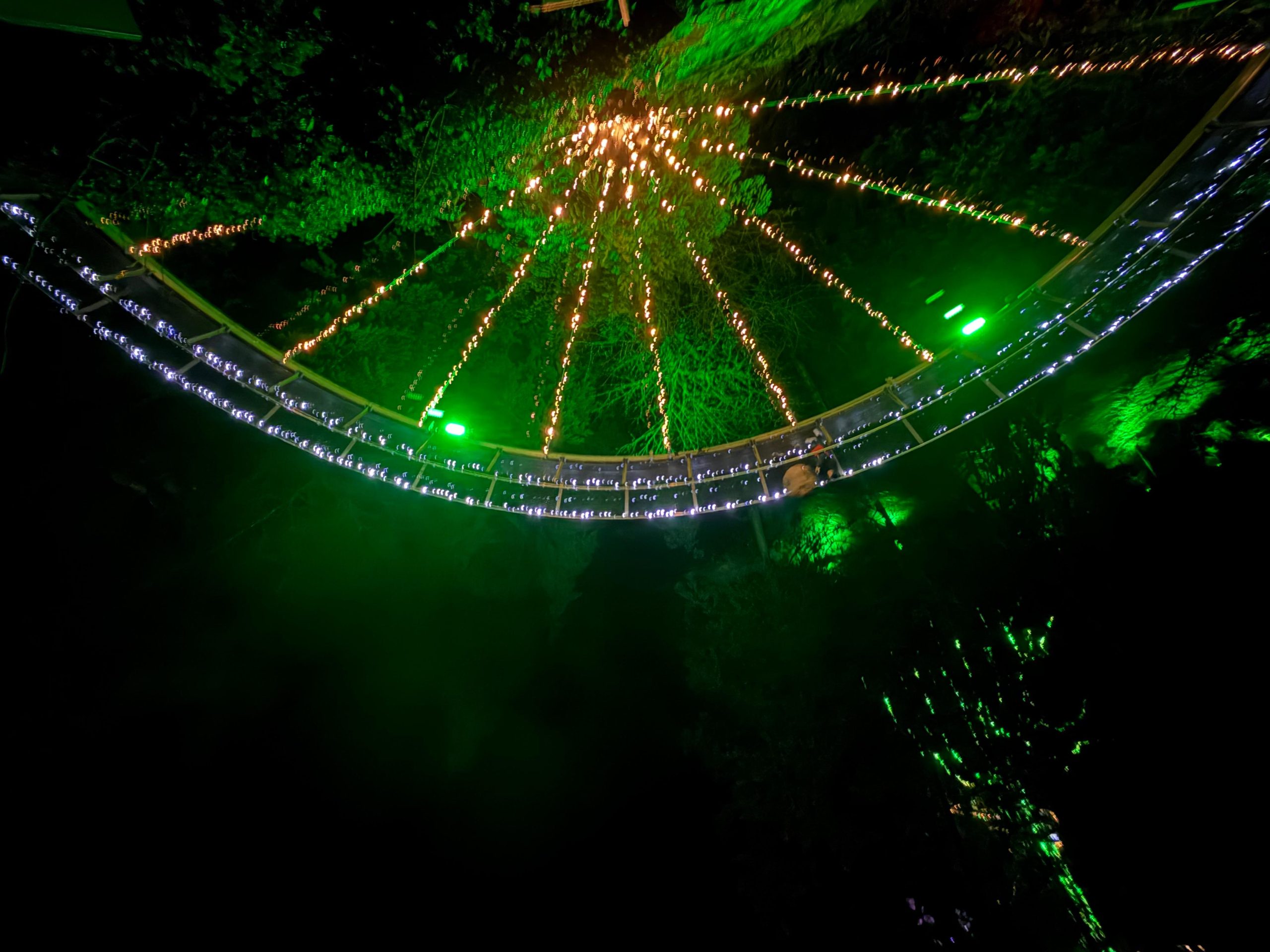 CANYON LIGHTS+Capilano Suspension Bridge/Small Group/CAR – Vancouver, Canada