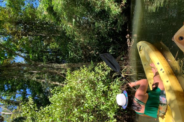 CARIBBEAN EXPERIENCE – PUNTA UVA – Punta Uva, Costa Rica