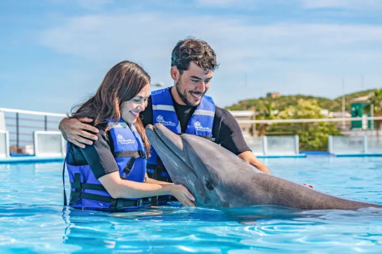 Cabo San Lucas: Dolphin Swim Class with Marine Specialist – Cabo San Lucas, Mexico