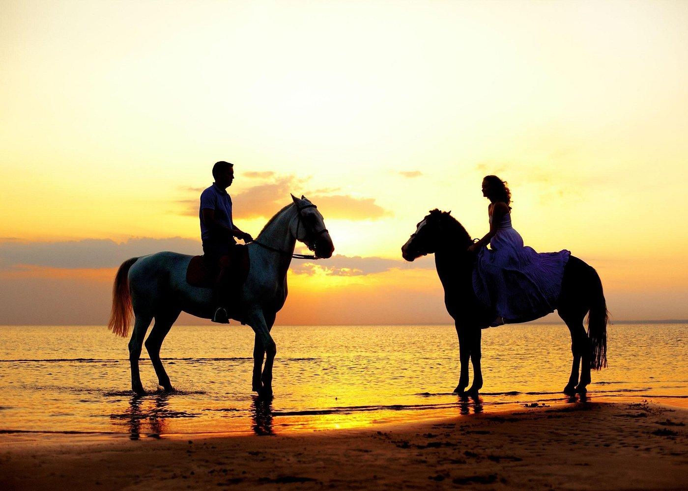 Cabo San Lucas: Intimate Sunset Horseback Ride and Dinner – Cabo San Lucas, Mexico
