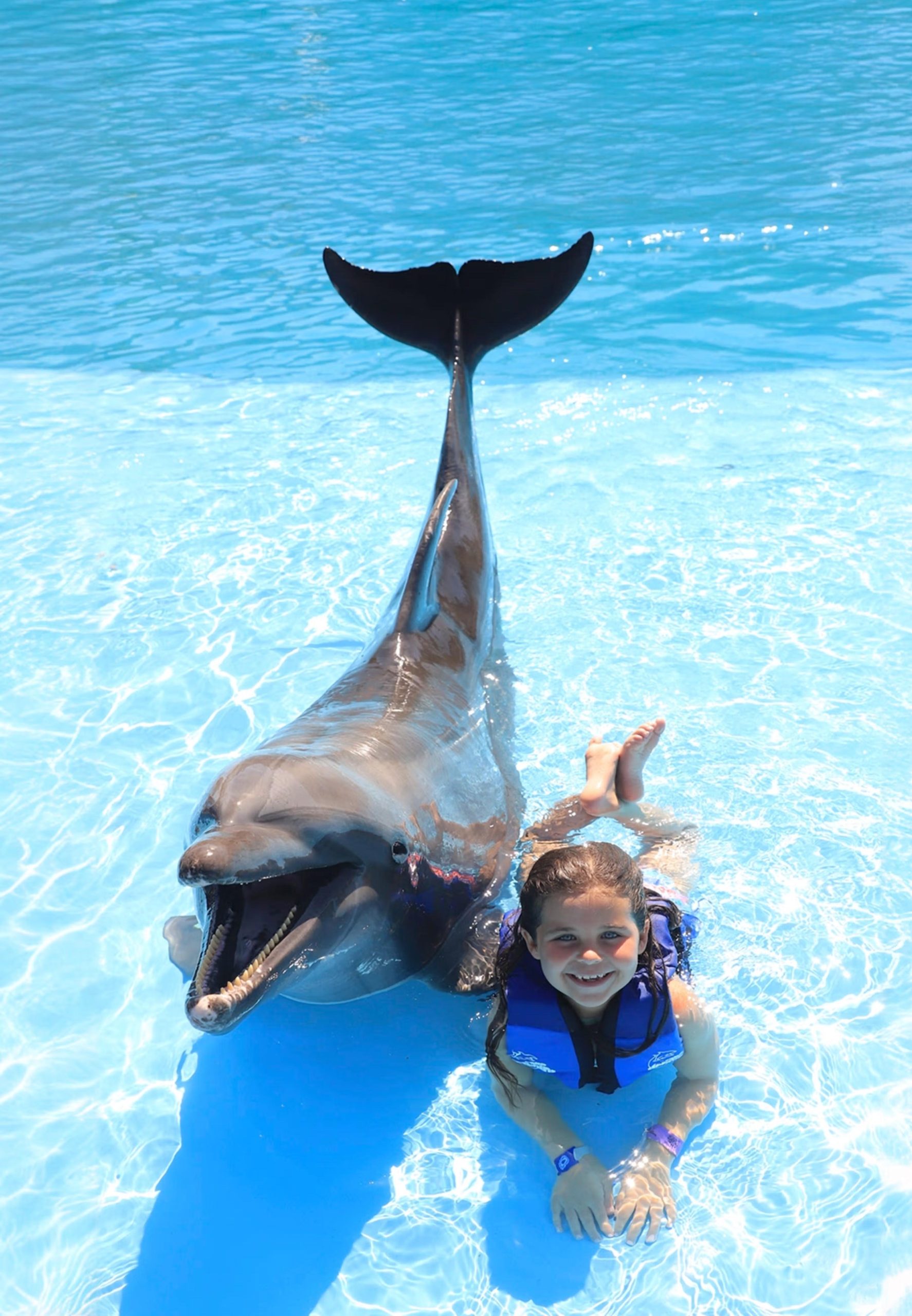 Cabo San Lucas/San Jose del Cabo: Dolphin Encounter – Cabo San Lucas, Mexico