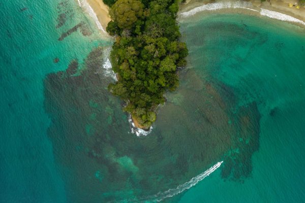 Cahuita National Park & Snorkeling-Private Sightseeing Tour – Cahuita, Costa Rica