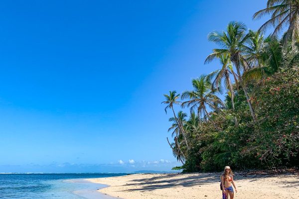 Cahuita National Park+Bribri Chocolate Tour+Waterfalls Tour+Lunch – Cahuita, Costa Rica