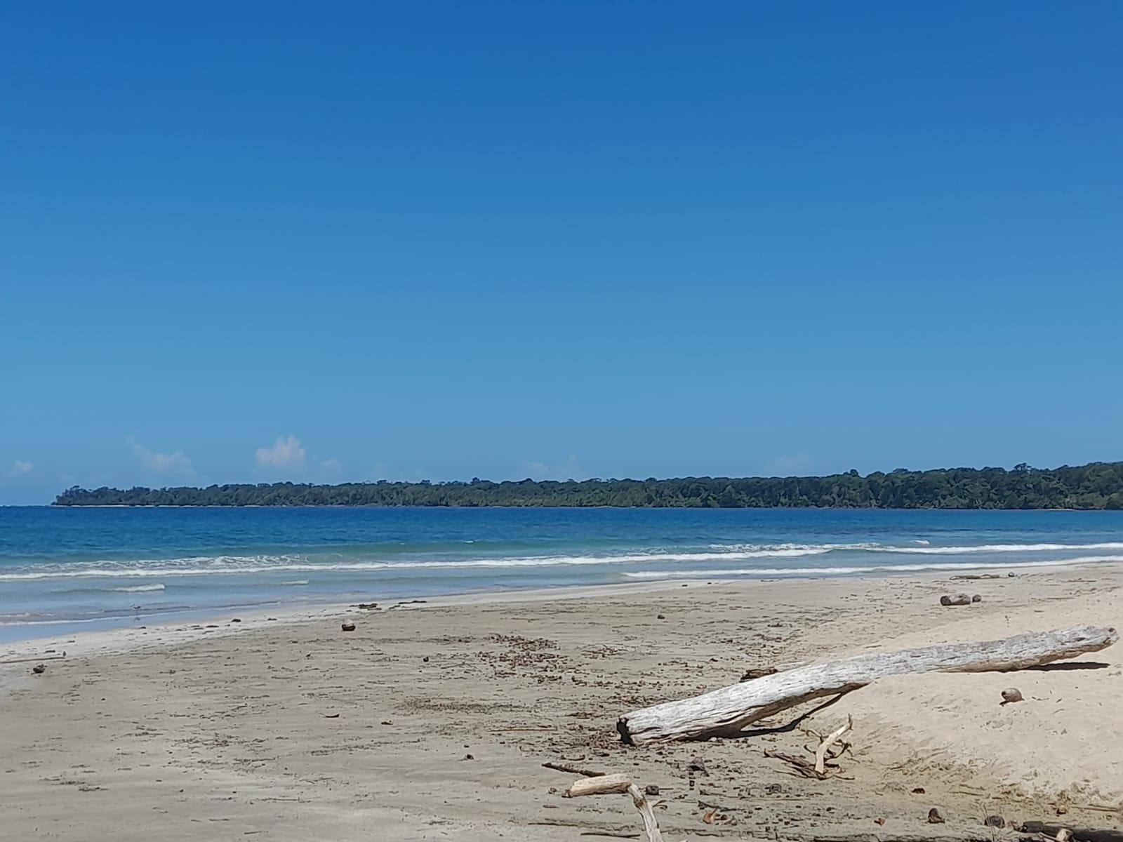 Cahuita national park : guiding tour with Pablo – Cahuita, Costa Rica