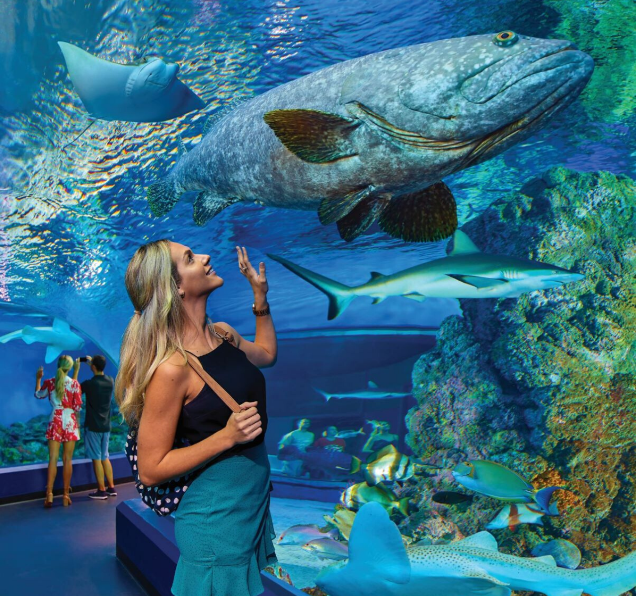 Cairns Aquarium General Admission Ticket – Cairns, Australia