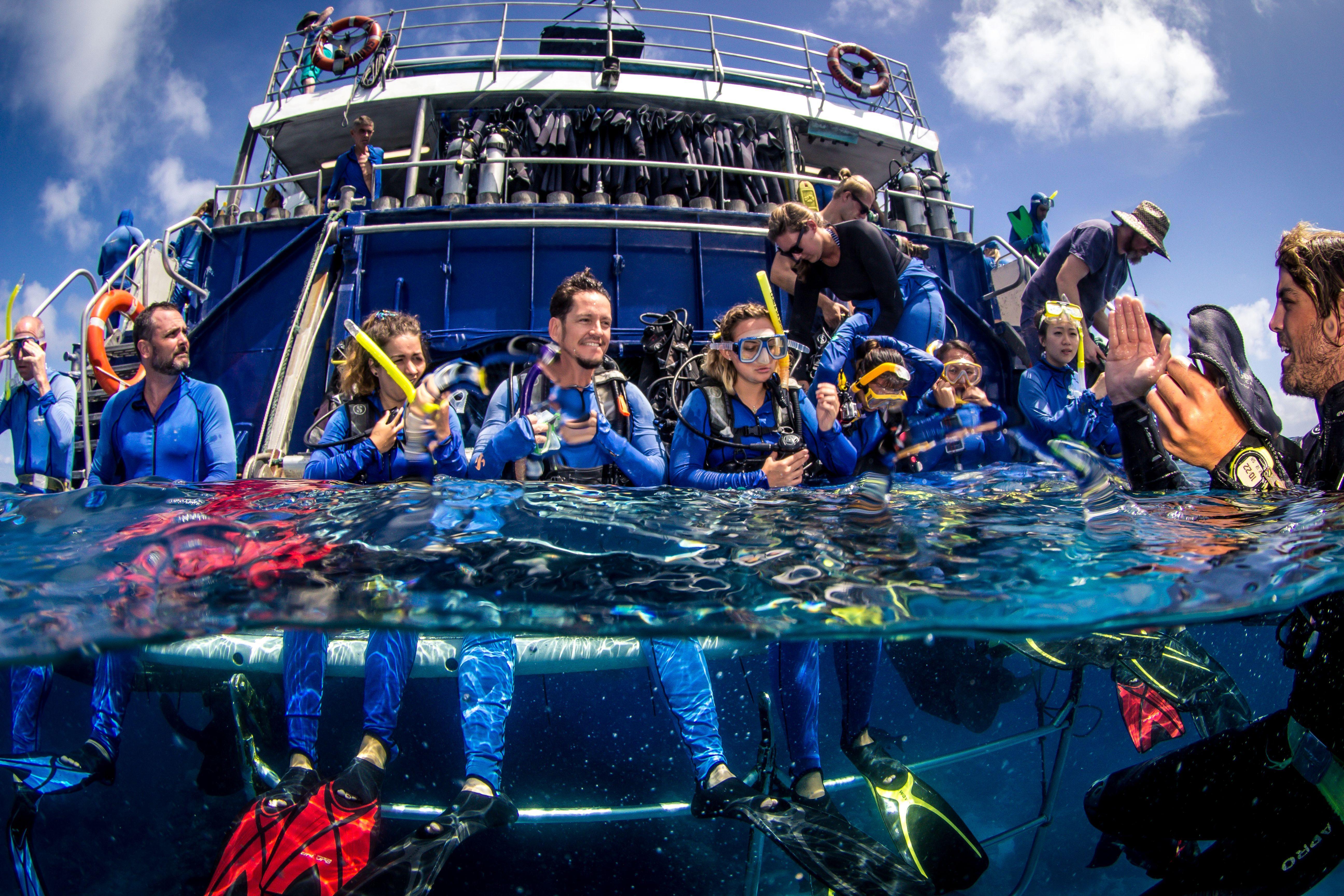 Cairns: Best Value All-inclusive Reef Trip With Scuba Dive – Norman Reef, Australia