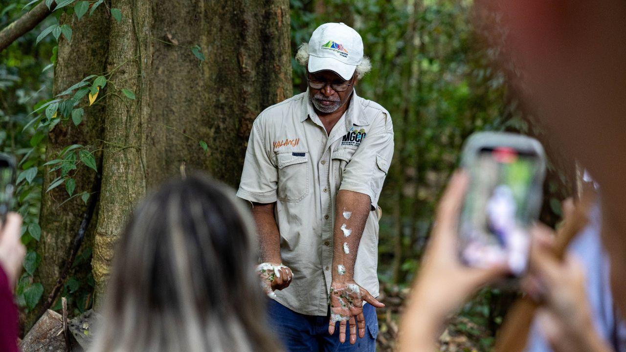 Cairns: Daintree Rainforest and Mossman Gorge Tour – Mossman Gorge, Australia