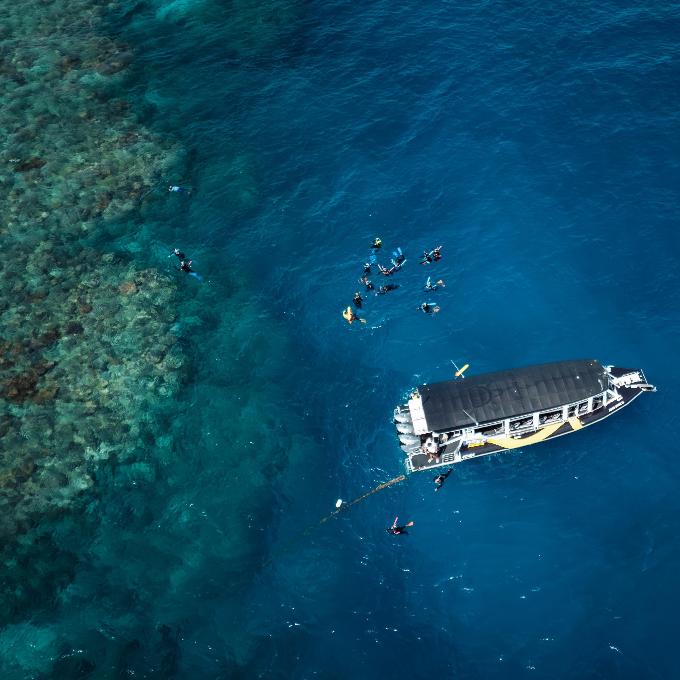 Cairns: Great Barrier Reef Half-Day Snorkelling Tour – Cairns, Australia