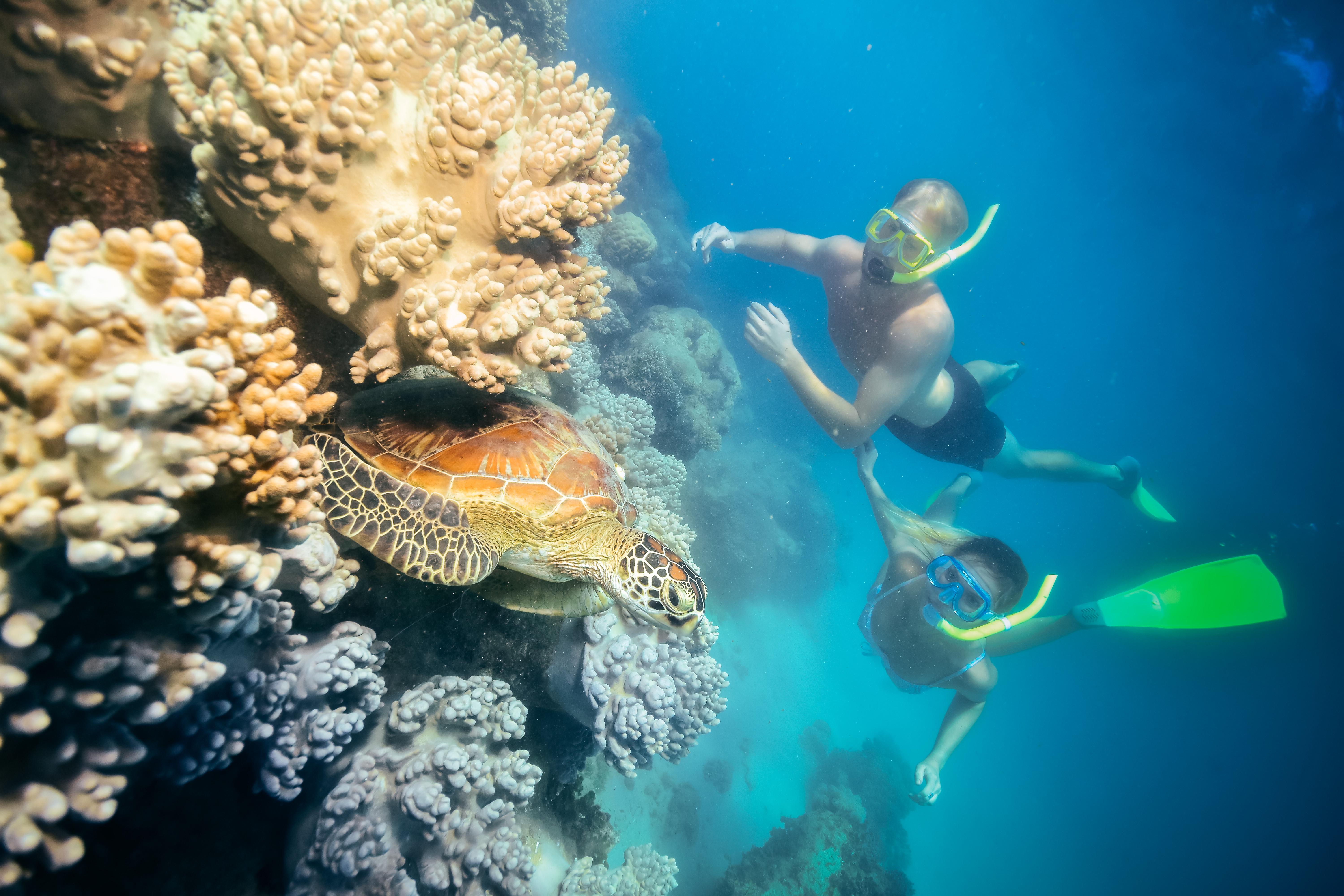 Cairns: Green Island, Snorkelling and Glass-Bottom Boat – Green Island, Australia