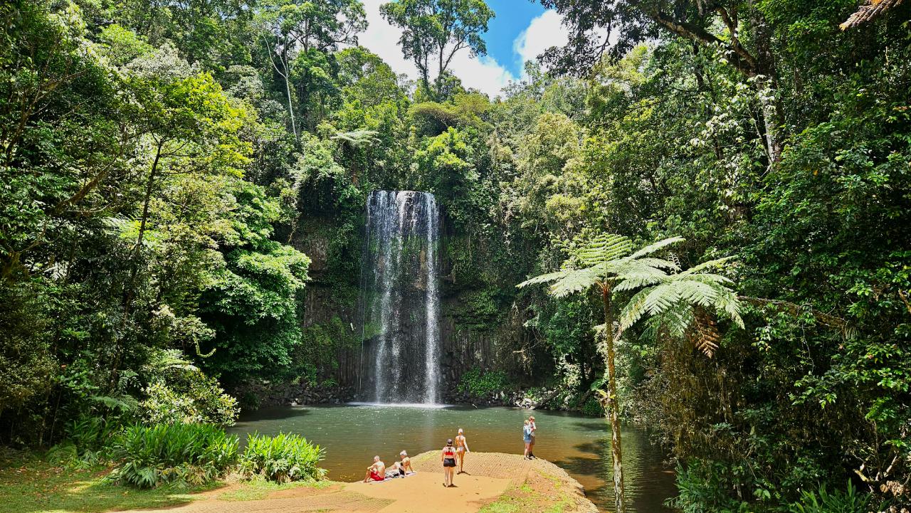 Cairns: Paronella, Lake Barrine & Millaa Millaa Falls Tour – Millaa Millaa, Australia