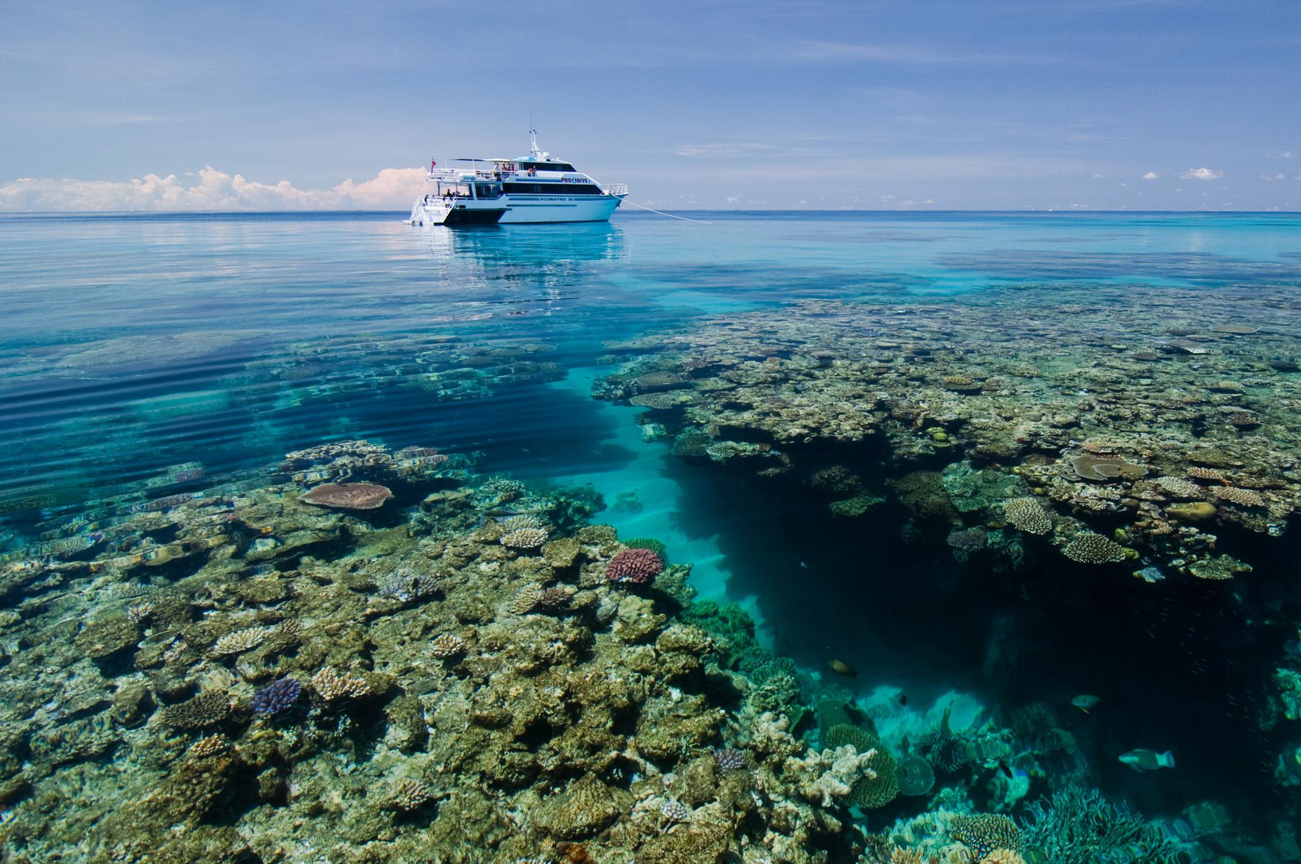 Cairns: Pro Dive 5 Day Learn to Dive Great Barrier Reef – Cairns, Australia