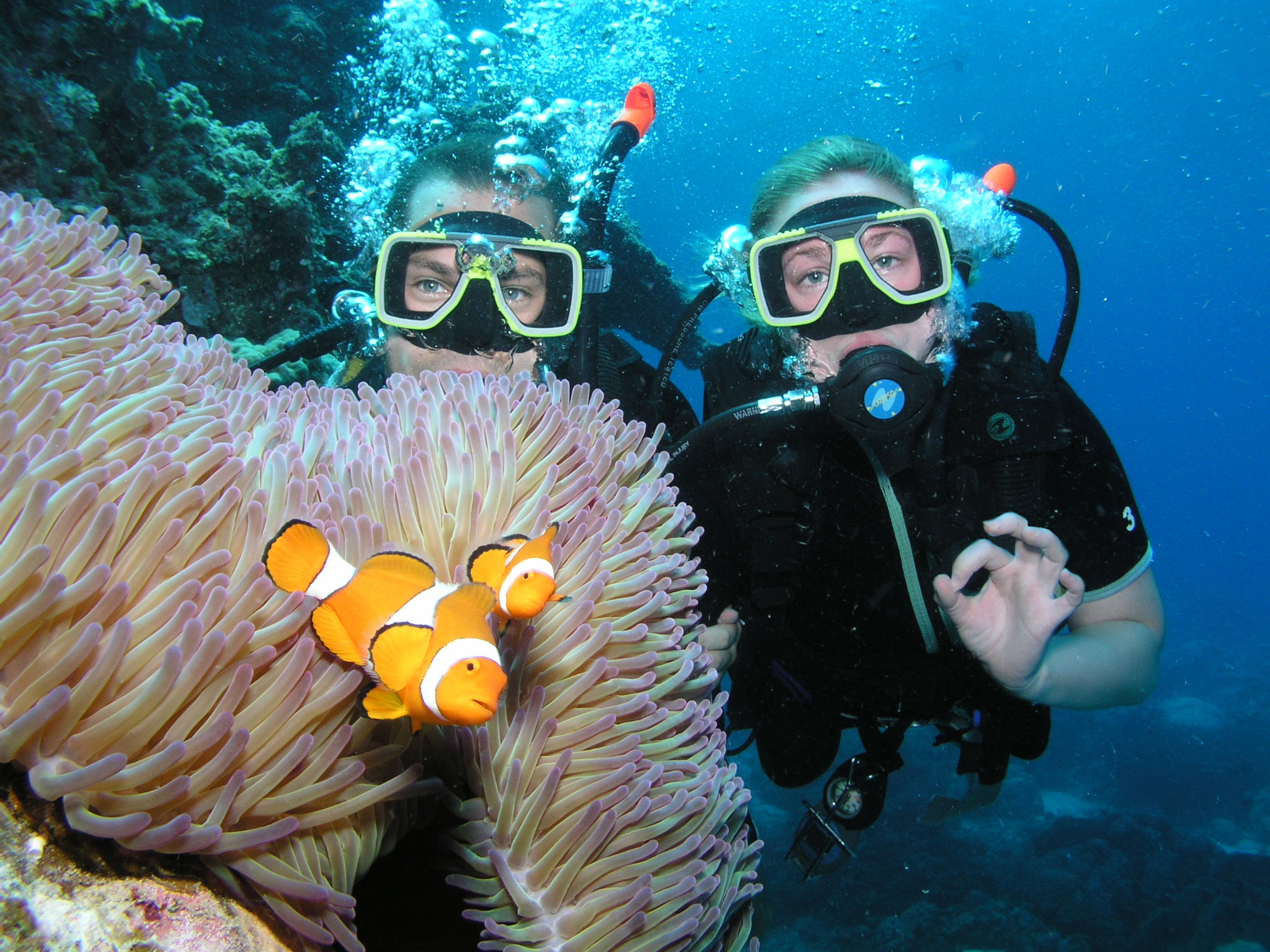 Cairns: Pro Dive Great Barrier Reef 3 Day/2 Night Dive Trip – Cairns, Australia