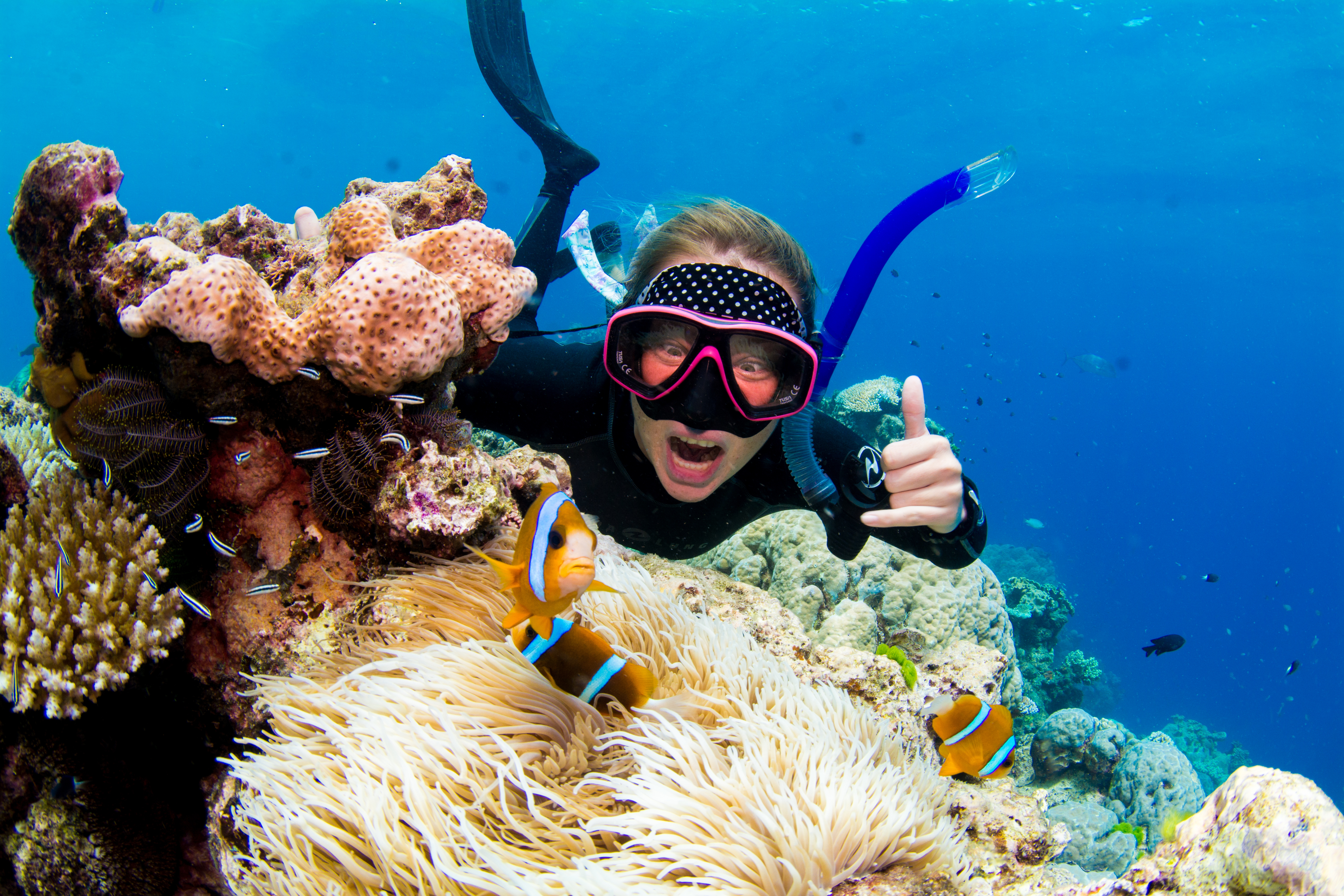 Cairns: Snorkelling and Diving Reef Day Trip – Cairns, Australia