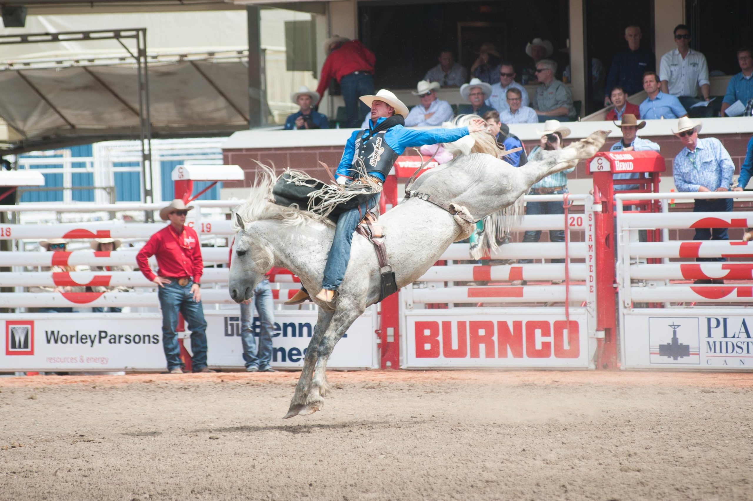 Calgary Stampede Afternoon Rodeo – Calgary, Canada