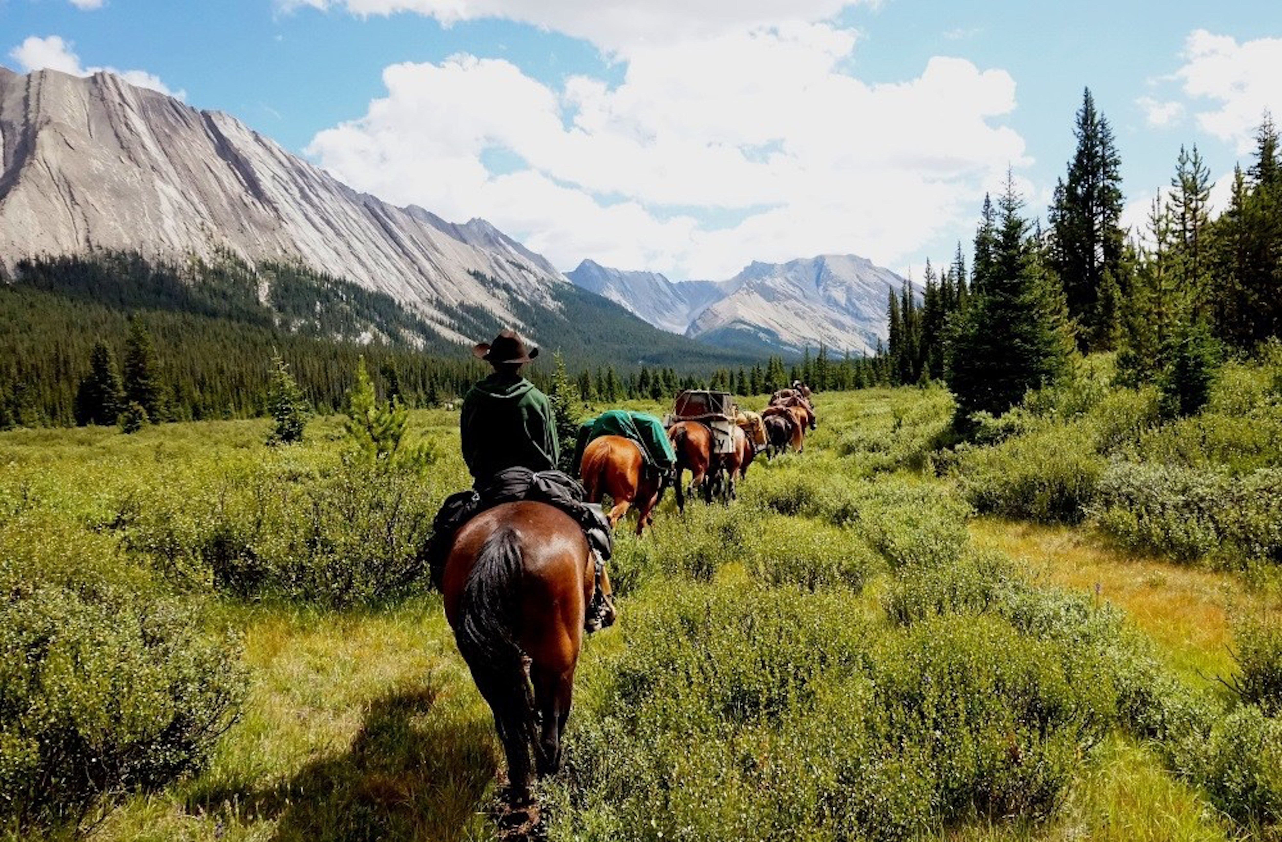 Canadian Rockies Combo: Helicopter Tour and Horseback Ride – Yoho National Park Of Canada, Canada