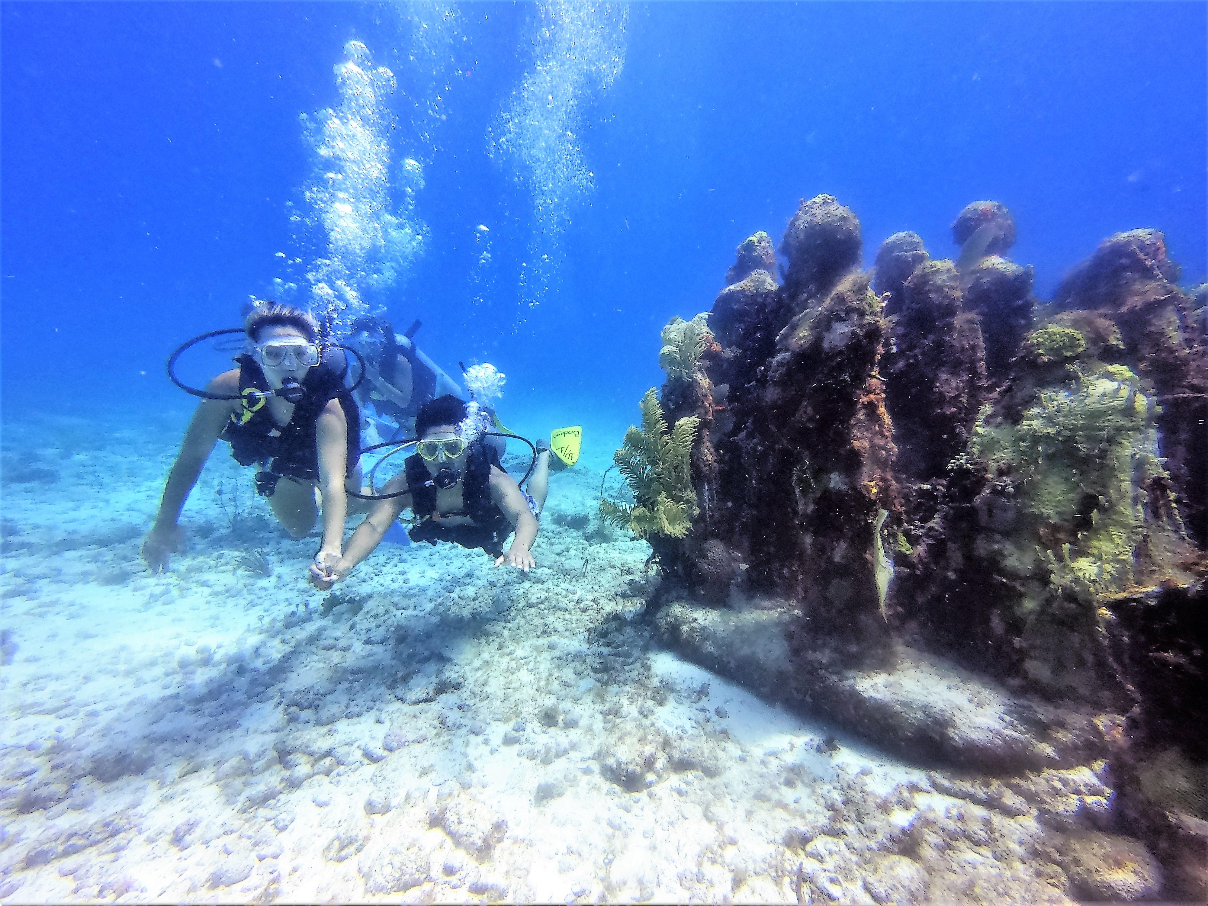 Cancun: 2-Tank Dive for Beginners with MUSA and Reef Dive – Cancun, Mexico