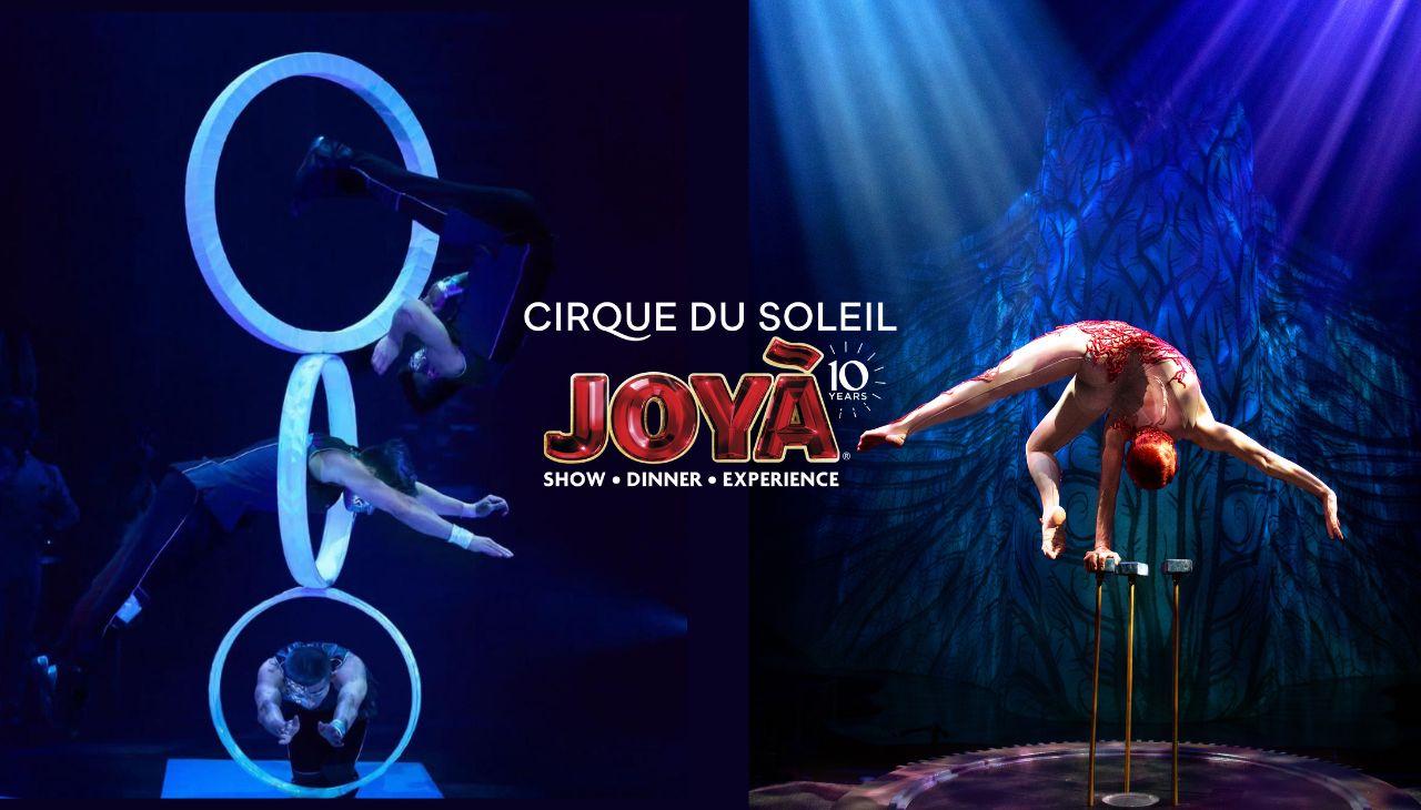 Cancún: Cirque du Soleil JOYÀ Entry Ticket and Transfer – Playa del Carmen, Mexico