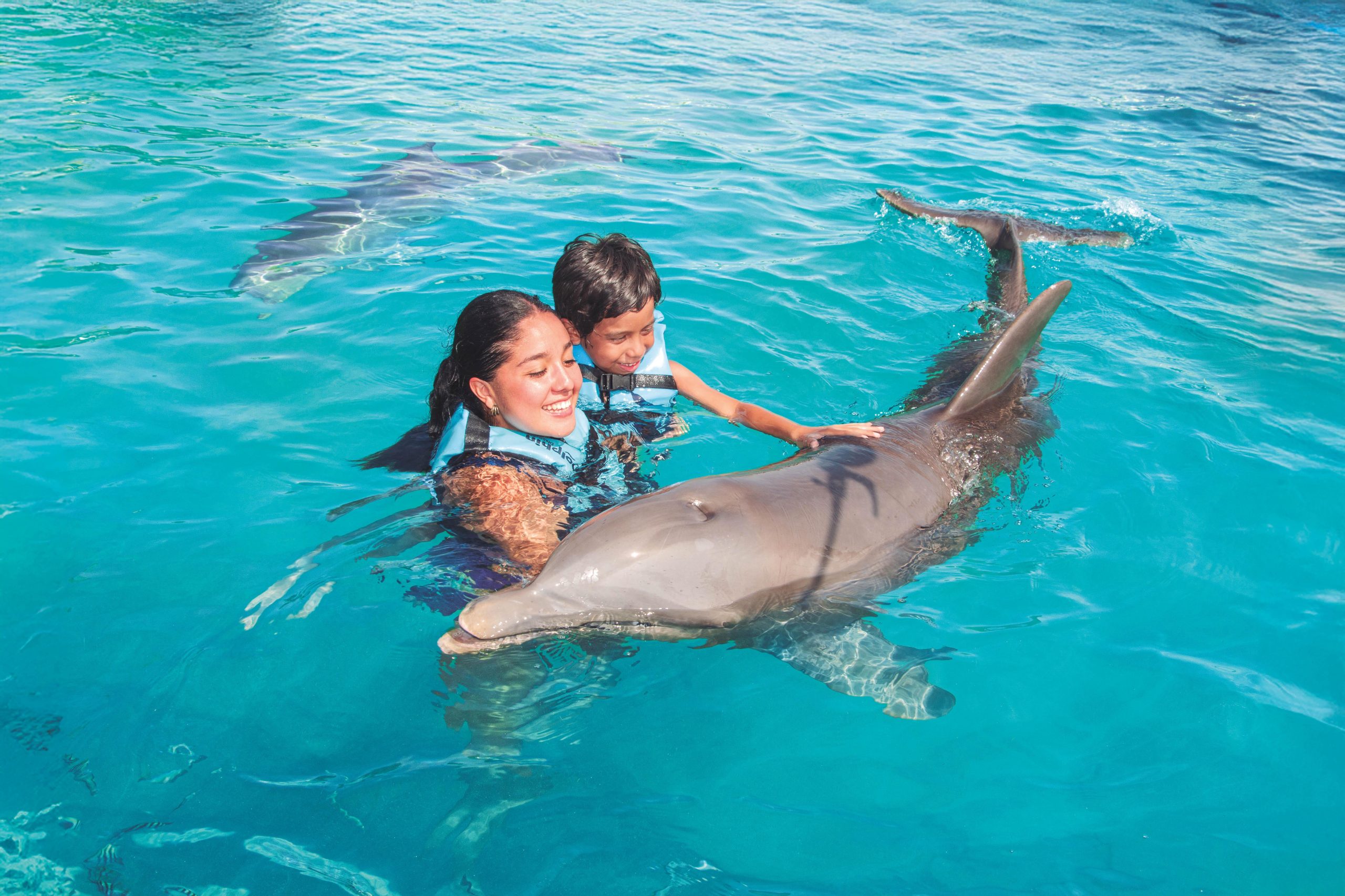 Cancun: Dolphin Connection & Isla Mujeres Beach Club Buffet – Cancun, Mexico