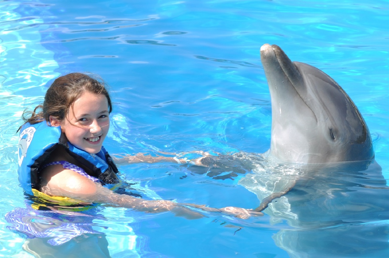 Cancún: Dolphin Encounter on Isla Mujeres with Buffet – Cancun, Mexico