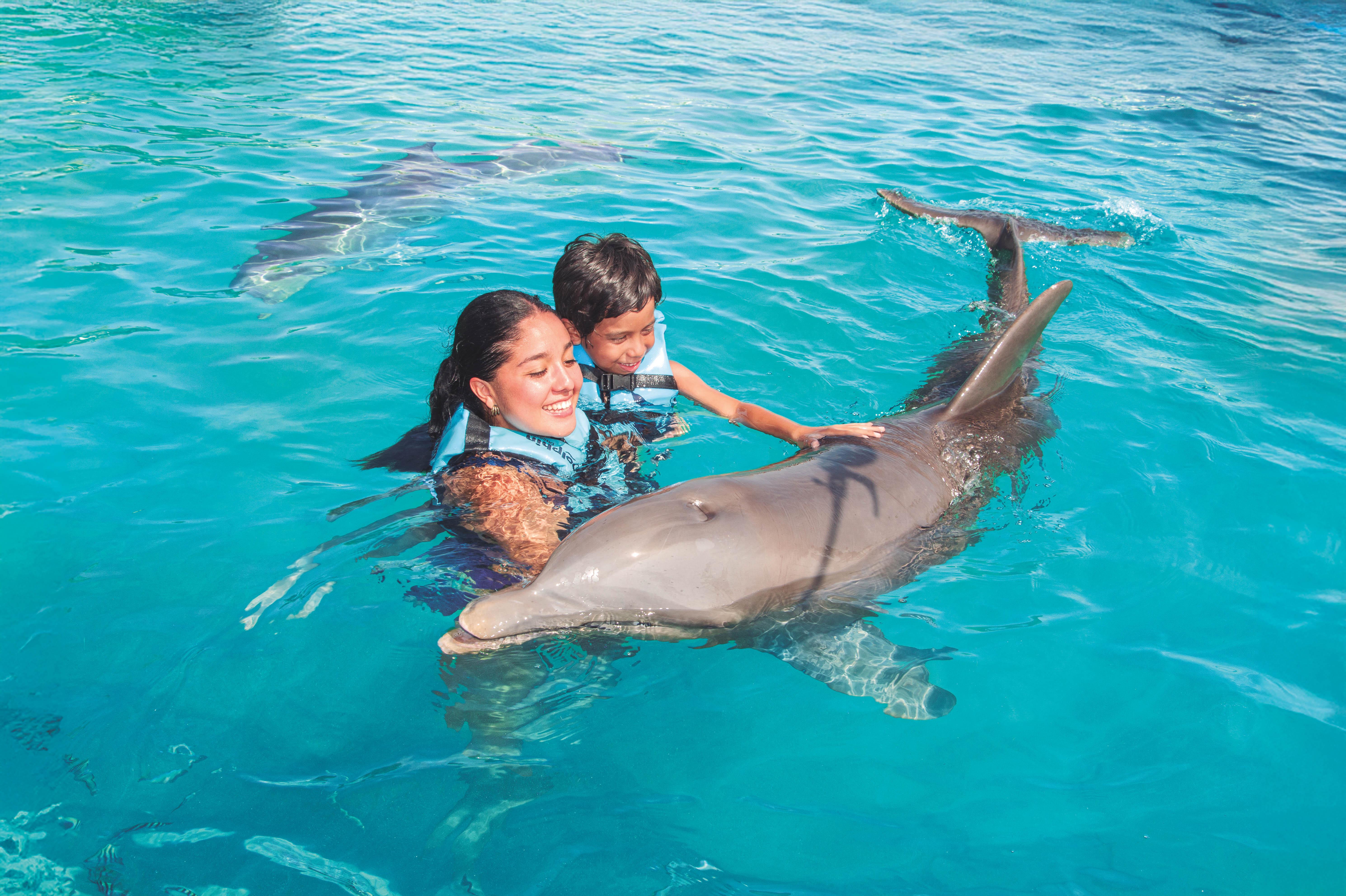 Cancún: Dolphin Swimming Program on Isla Mujeres with Buffet – Cancun, Mexico