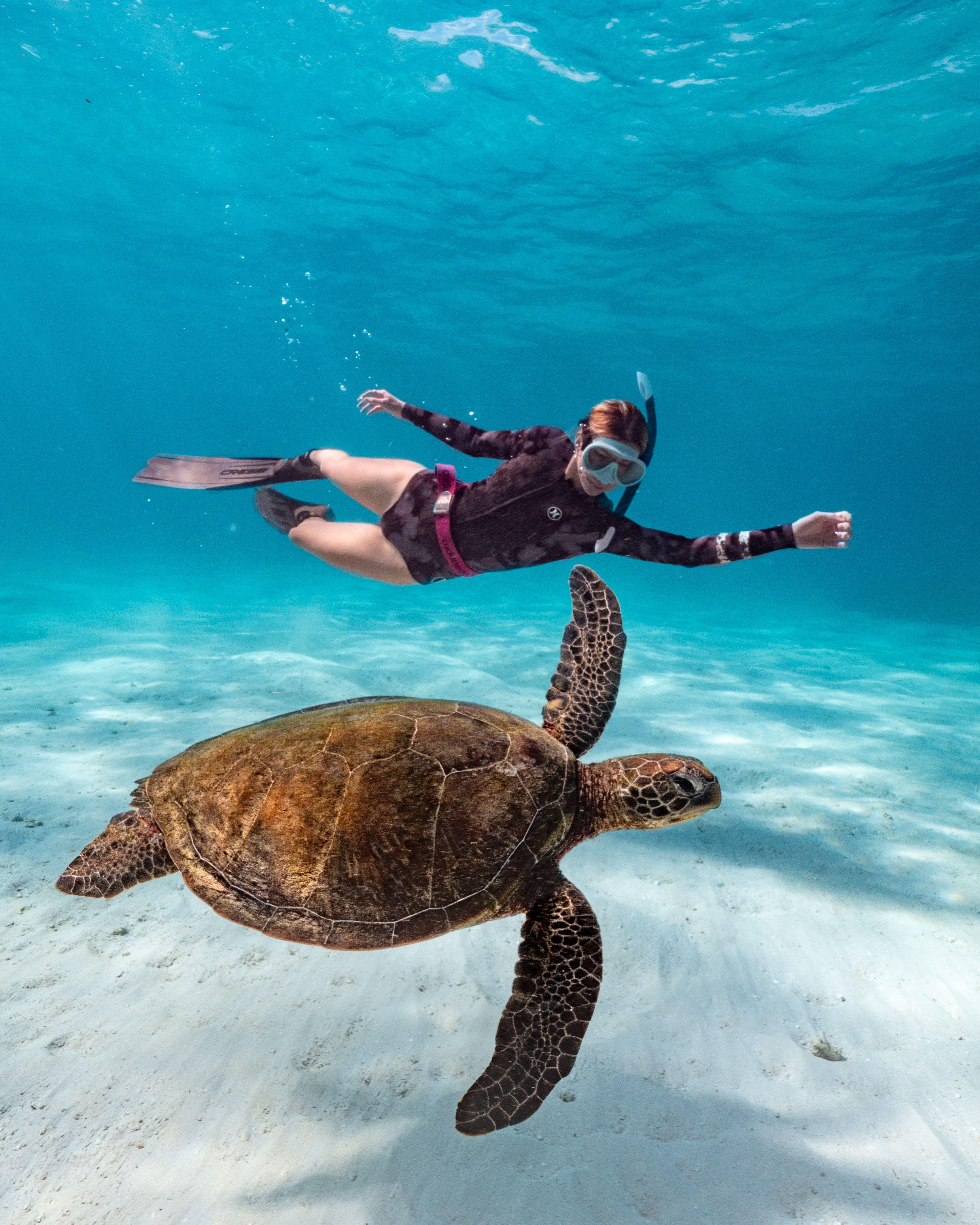 Cancun: Explore Tulum, swim with turtles, cenote, and snorkel in caves – Tulum, Mexico