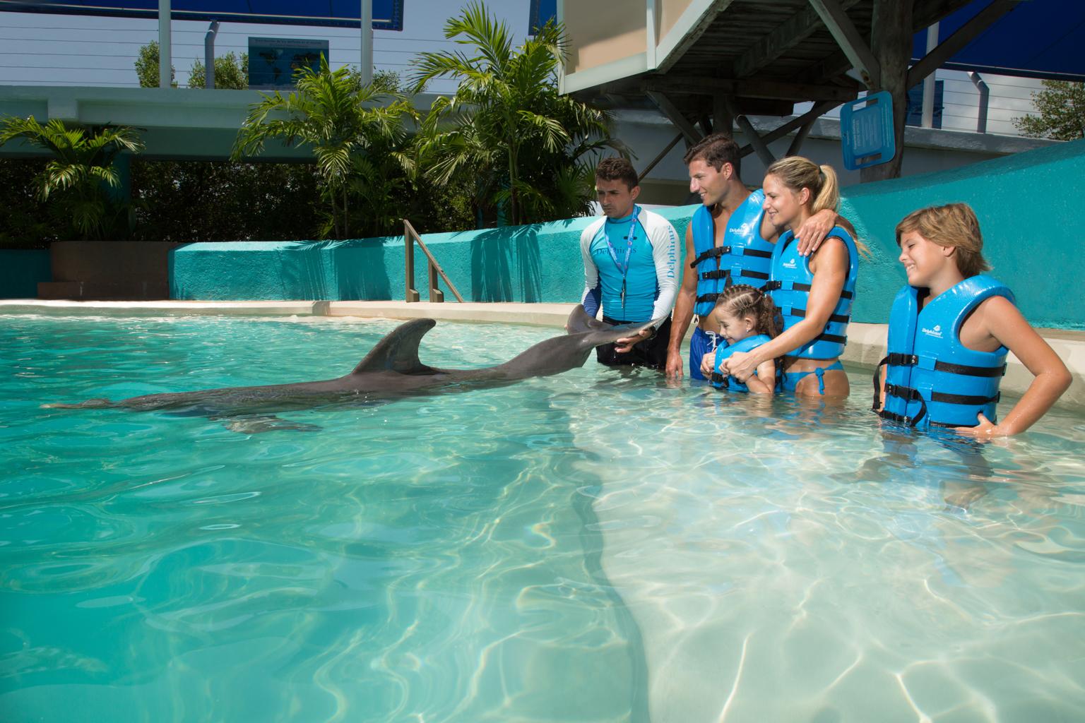 Cancun: Interactive Aquarium Ticket and Swim with Dolphins – Cancun, Mexico