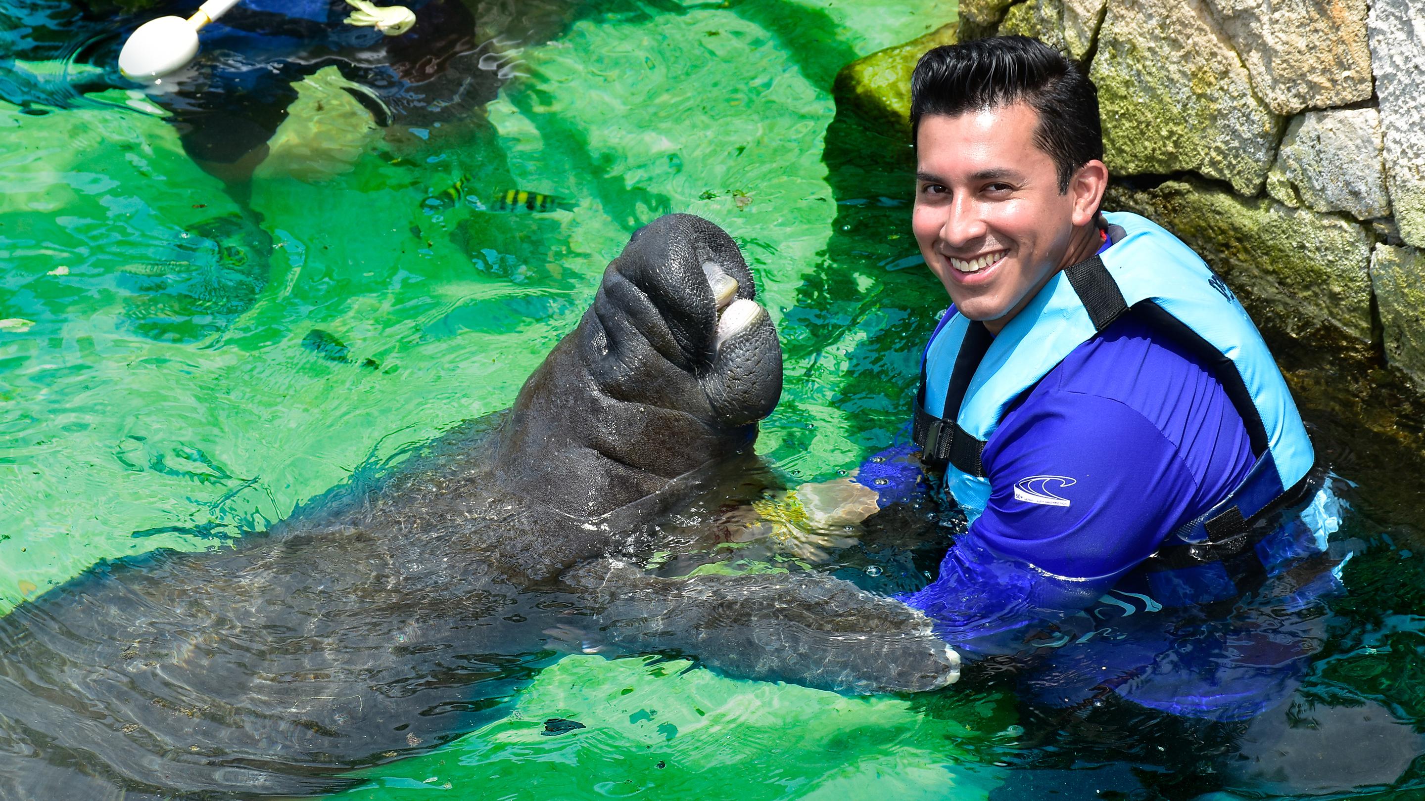 Cancún: Manatee Encounter on Isla Mujeres with Buffet Lunch – Cancun, Mexico